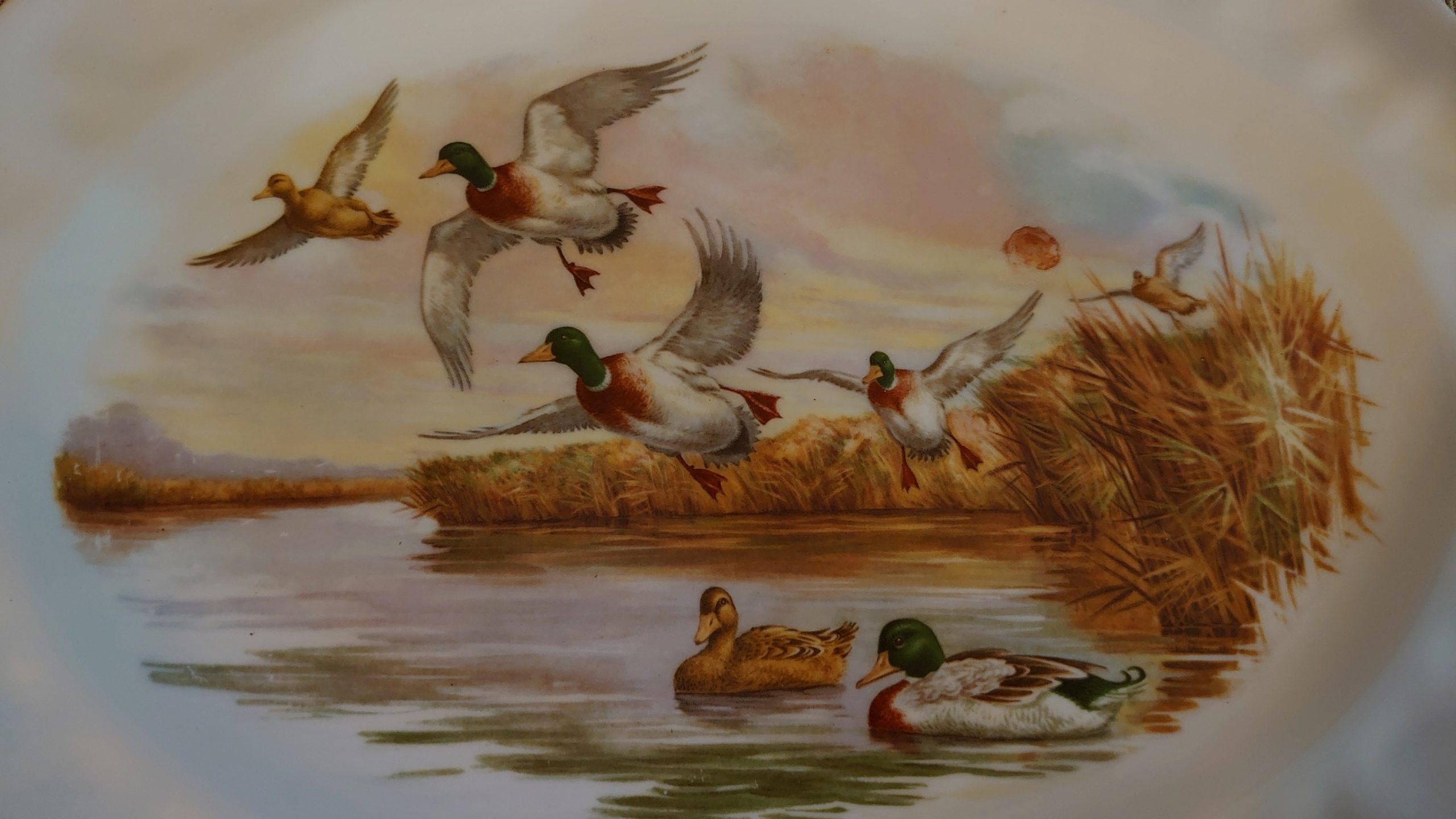 Sovereign China Mallard Duck Platter - 34cm by 26.5cm - Very Good to excellent condition - Image 5