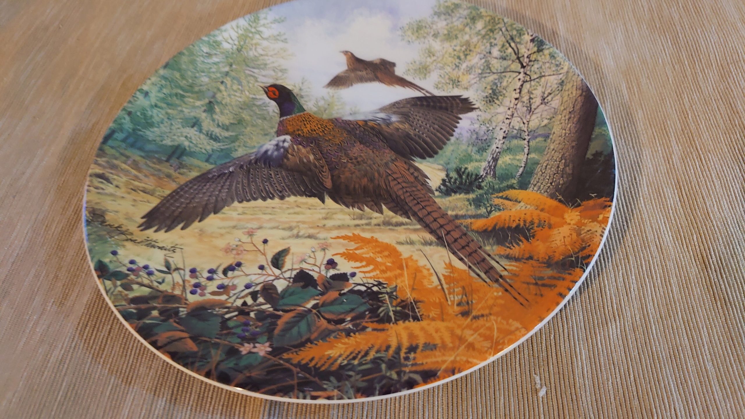 Royal Grafton Decorative Pheasant Plate - fantastically detailed and in excellent condition - 21.5cm diameter - Image 3