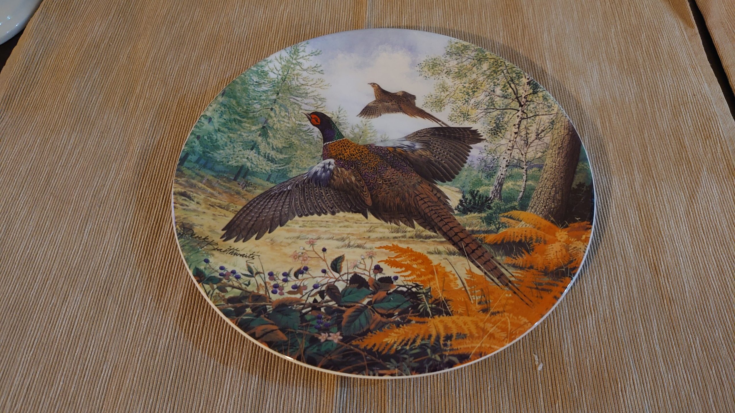 Royal Grafton Decorative Pheasant Plate - fantastically detailed and in excellent condition - 21.5cm diameter - Image 4