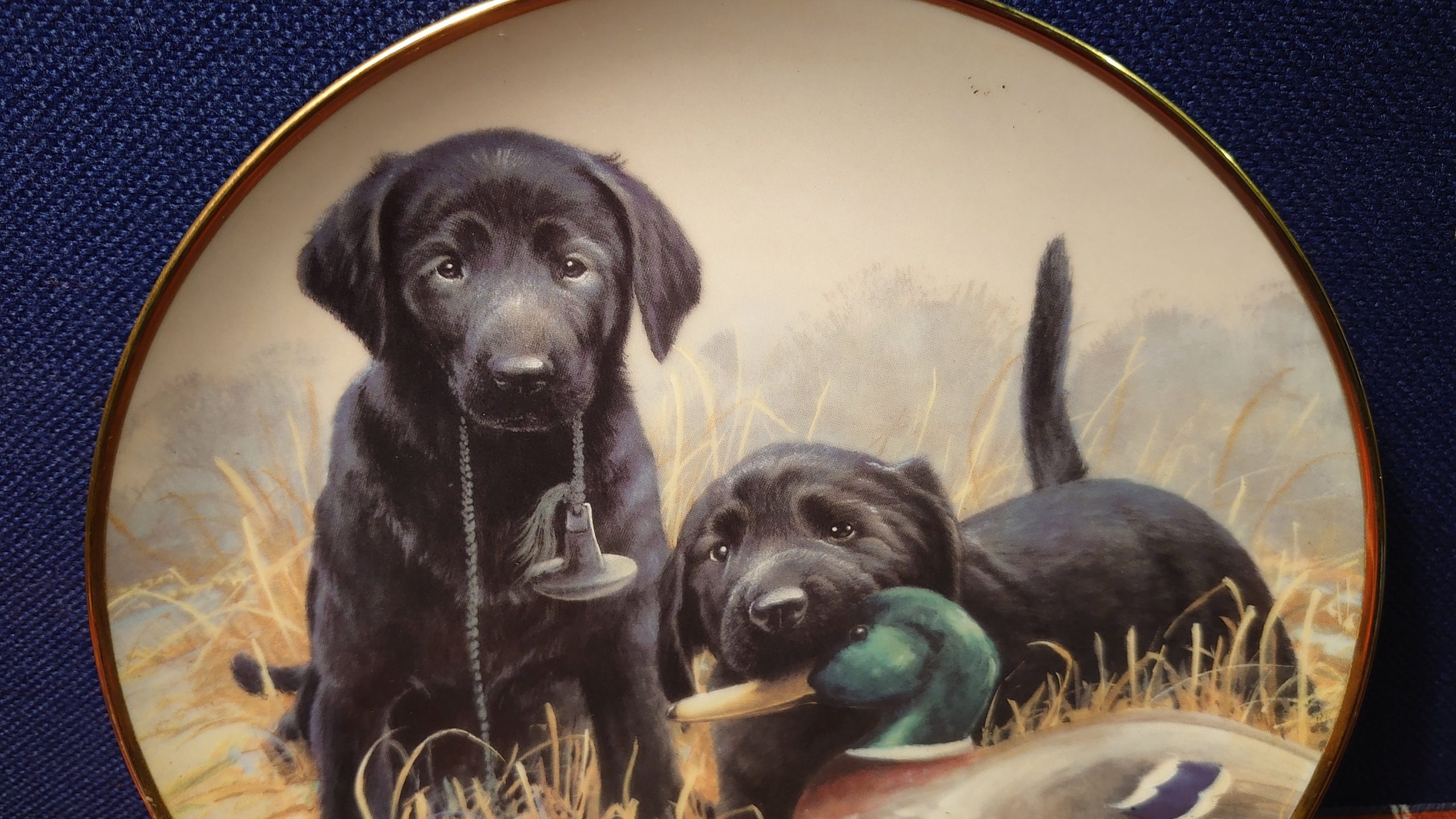 Beginners' Luck Plate - Decorative Wall Plate - Black Labrador Pups - Great Item for Dog Lovers - Image 3