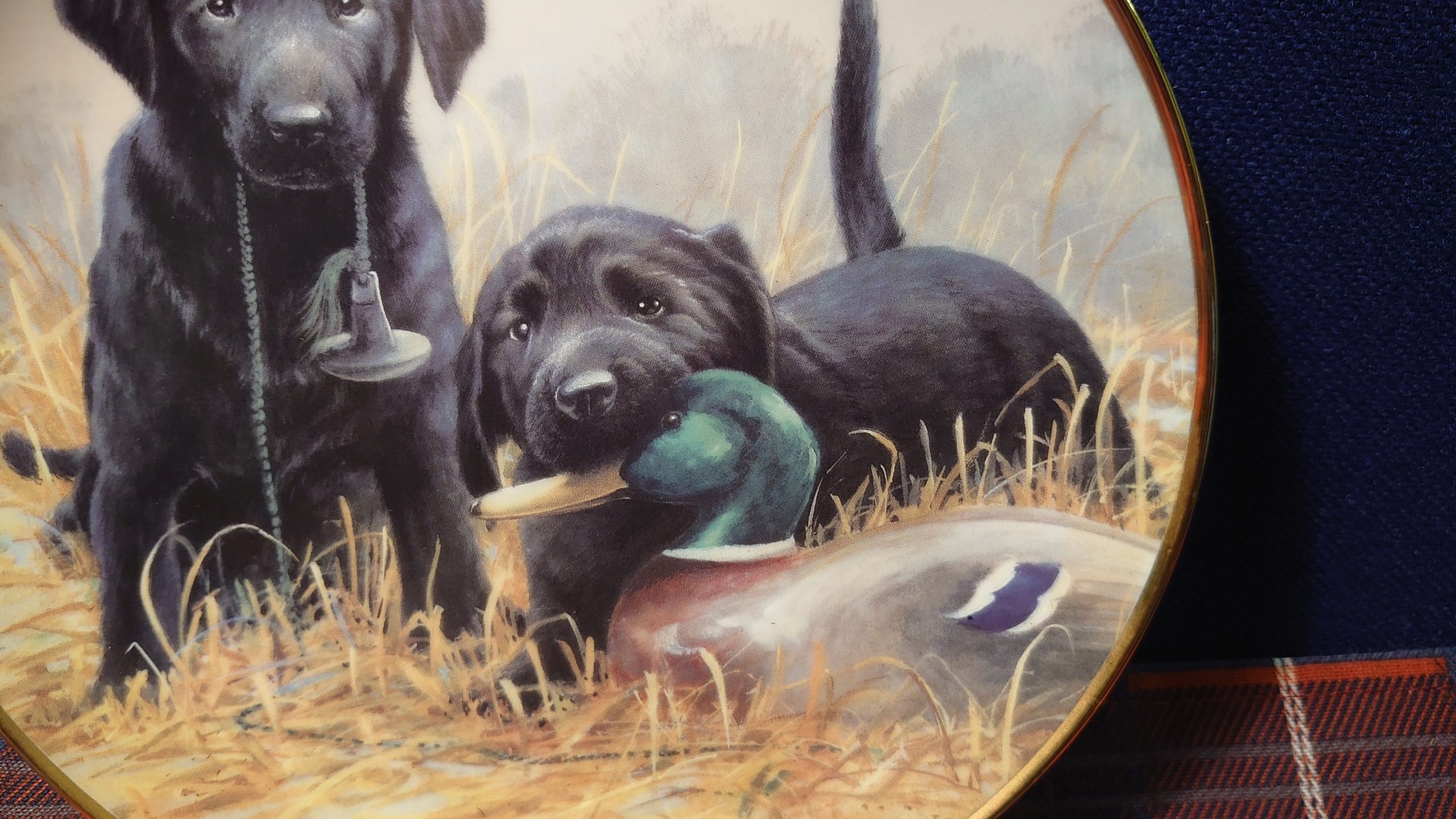Beginners' Luck Plate - Decorative Wall Plate - Black Labrador Pups - Great Item for Dog Lovers - Image 5