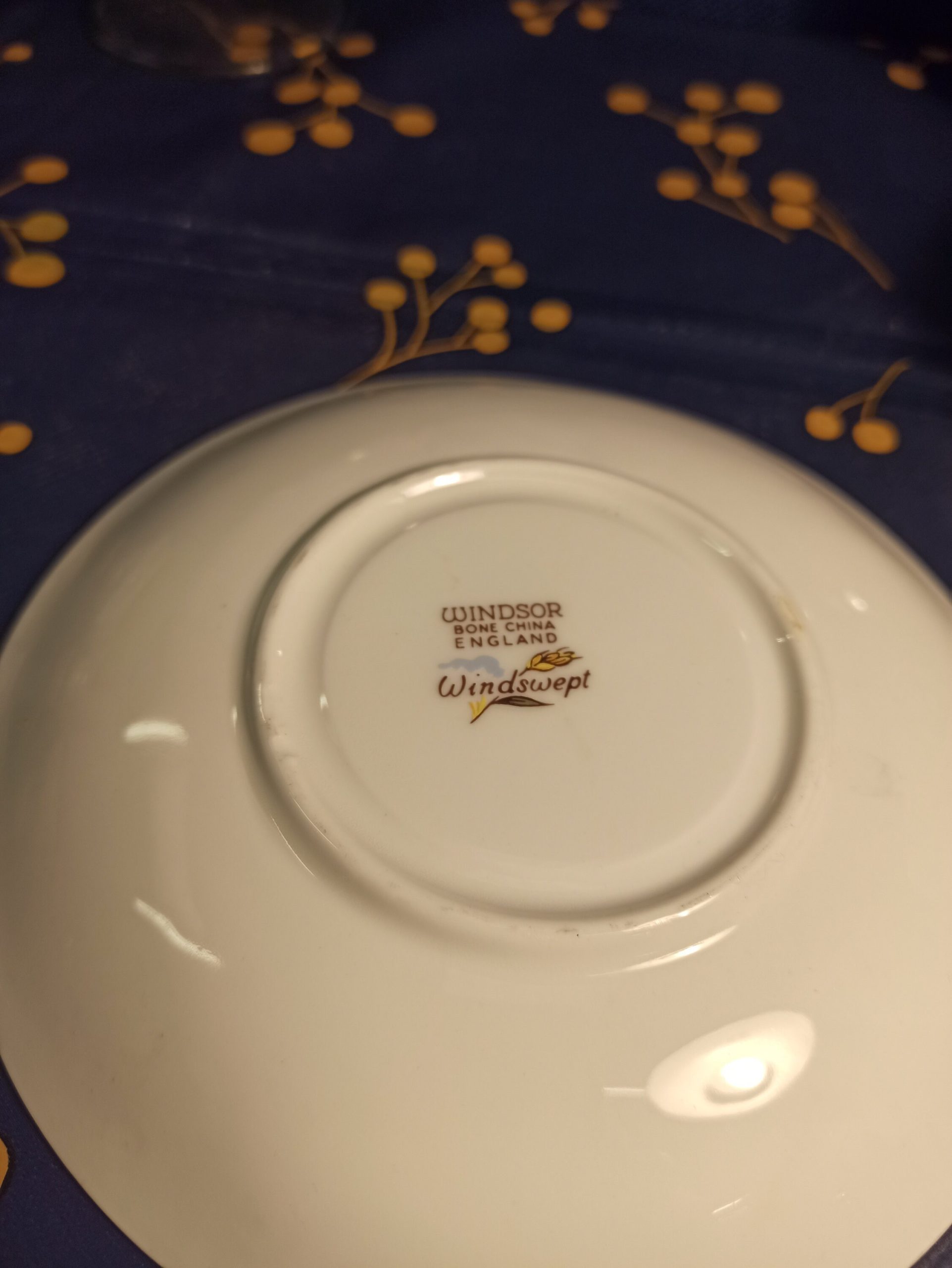 Windsor Bone china Duo Cup and Saucer, "Windswept". 1950 - Image 3