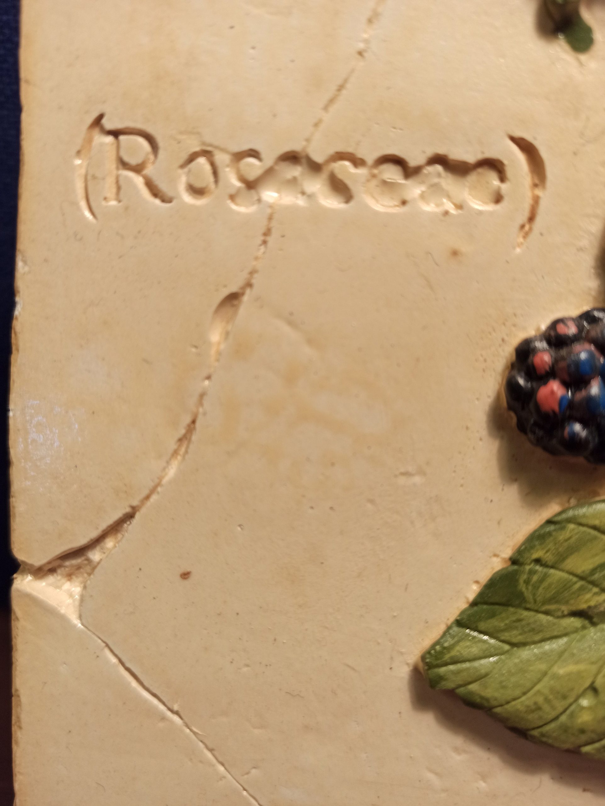 Vintage Pair of Majolica Bramble Decorative Wall Tiles. - Image 4