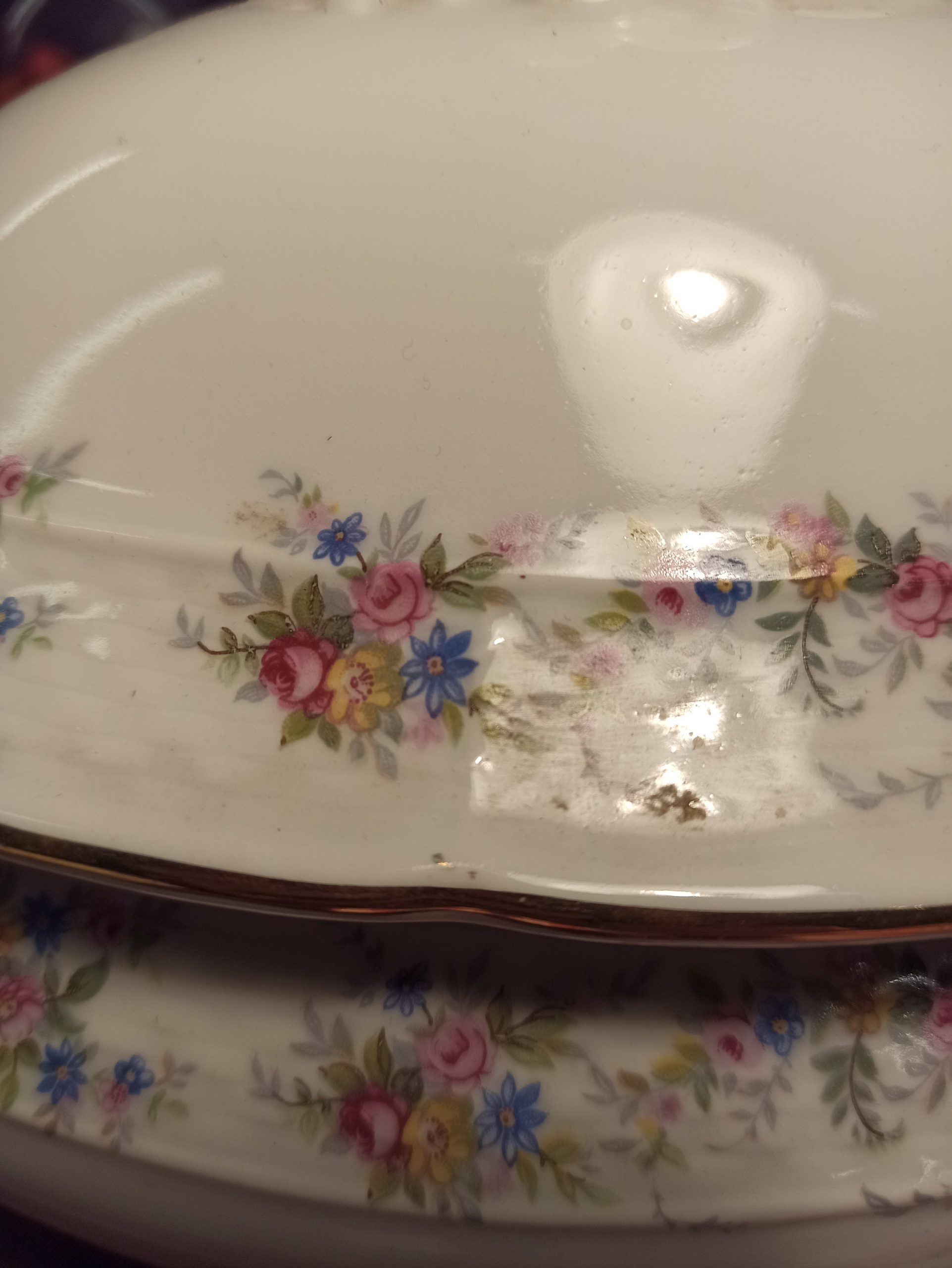 Carlsbad Fine Porcelain Thun Vegetable Tureen. Very Good Condition. - Image 4