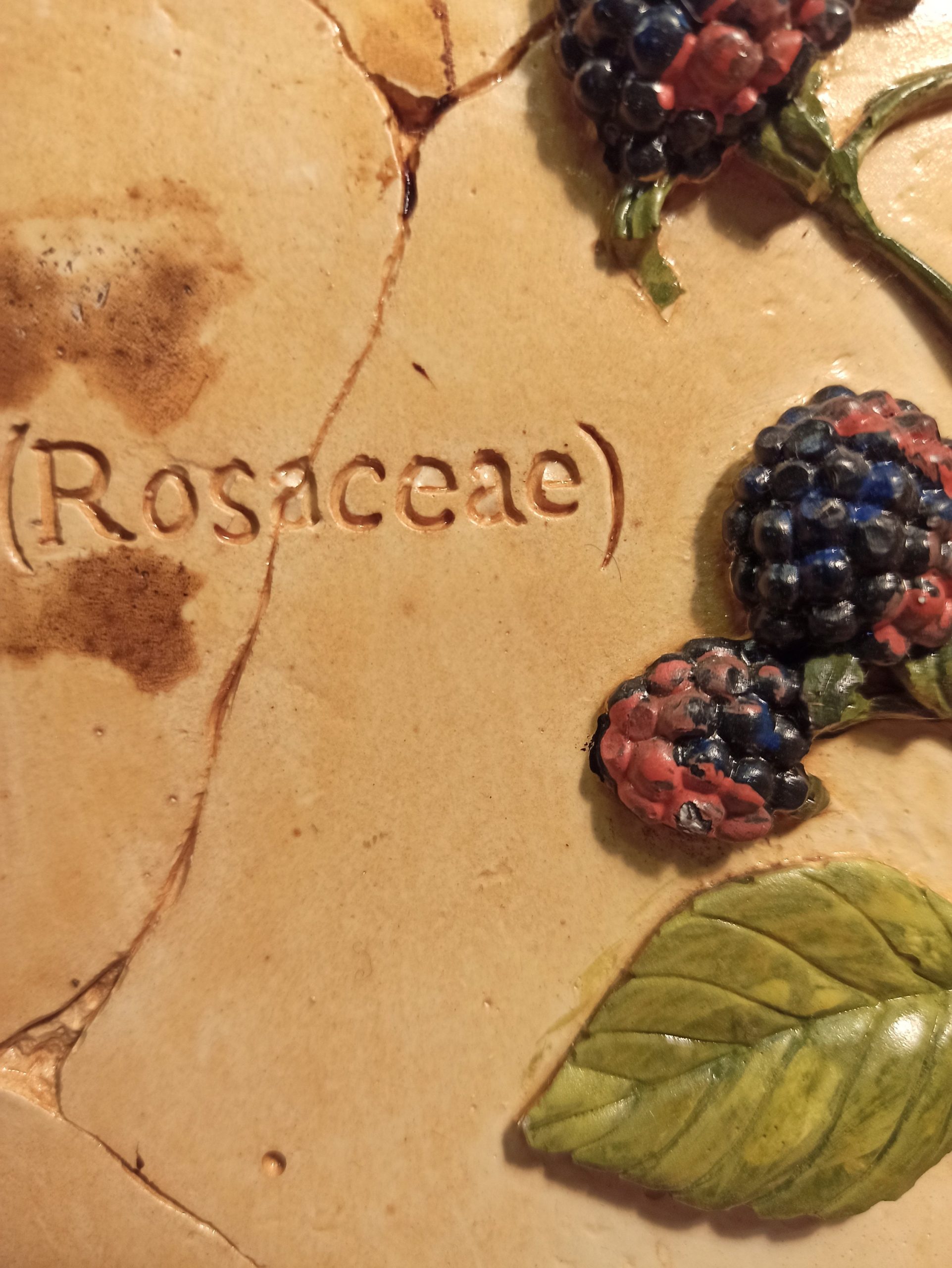Vintage Pair of Majolica Bramble Decorative Wall Tiles. - Image 5