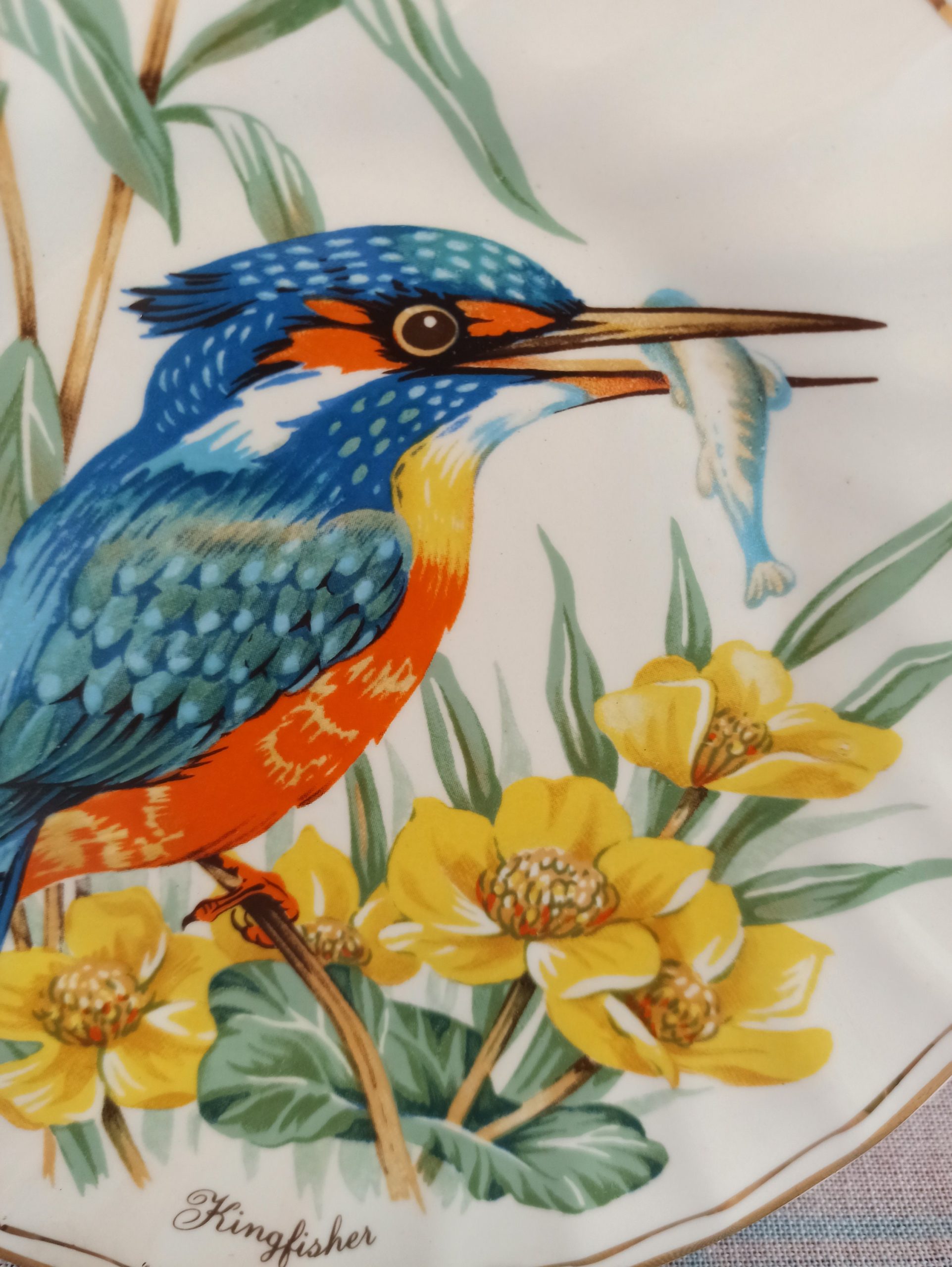 Vintage Kingfisher Wall Plate By Churchills of England. Very Good Condition. - Image 4
