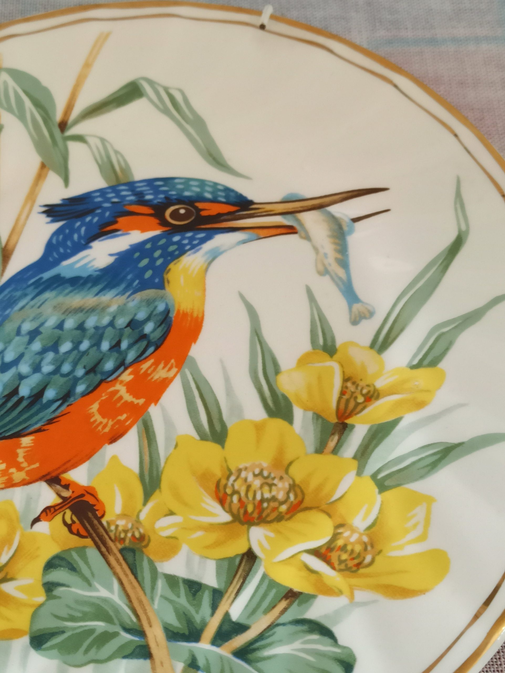 Vintage Kingfisher Wall Plate By Churchills of England. Very Good Condition. - Image 8