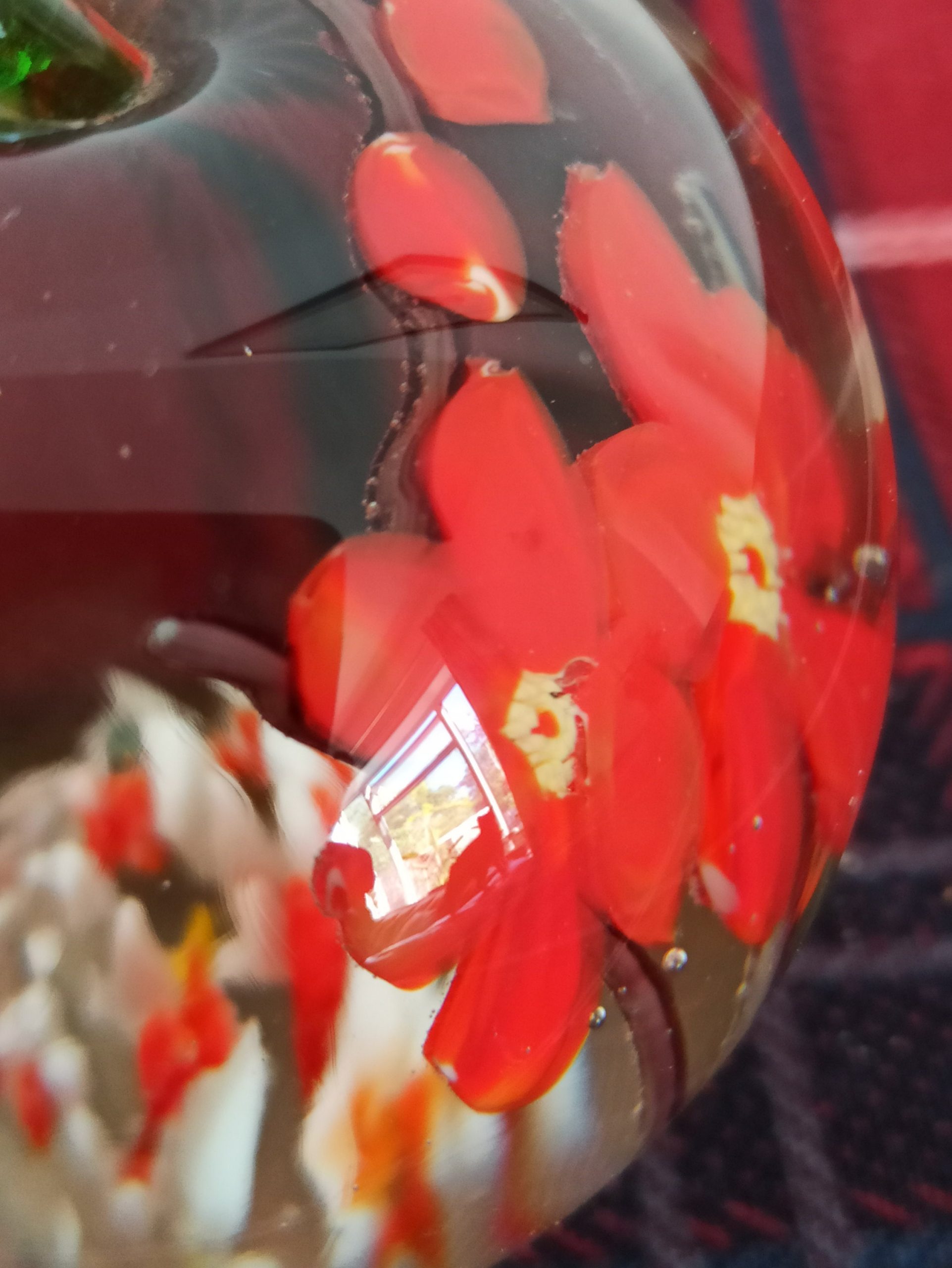 Pair of Orange Paperweights. Very Good Condition. - Image 9