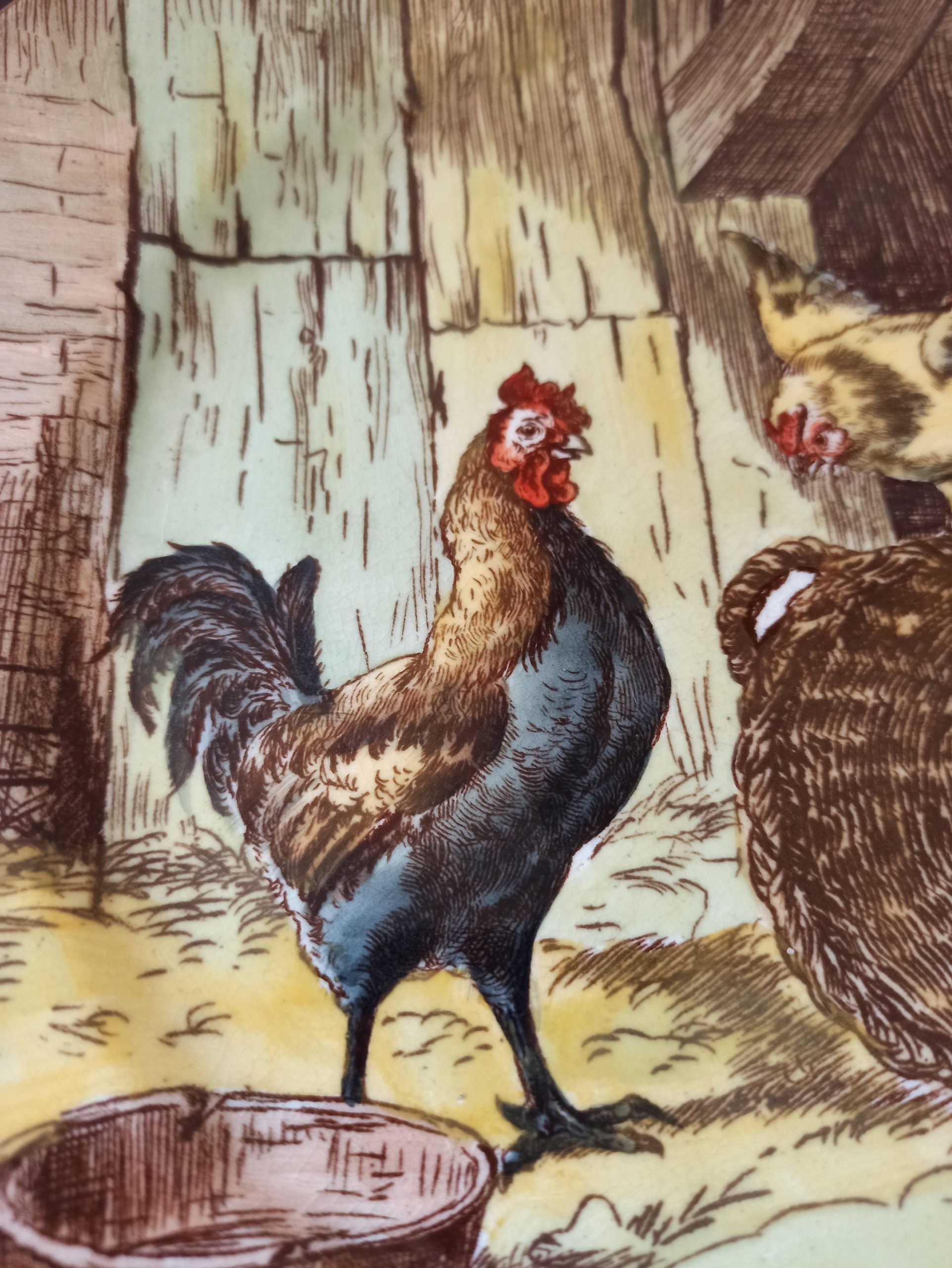 Vintage Chicken Decorative Cabinet Plate. Cauldon, England. - Image 3