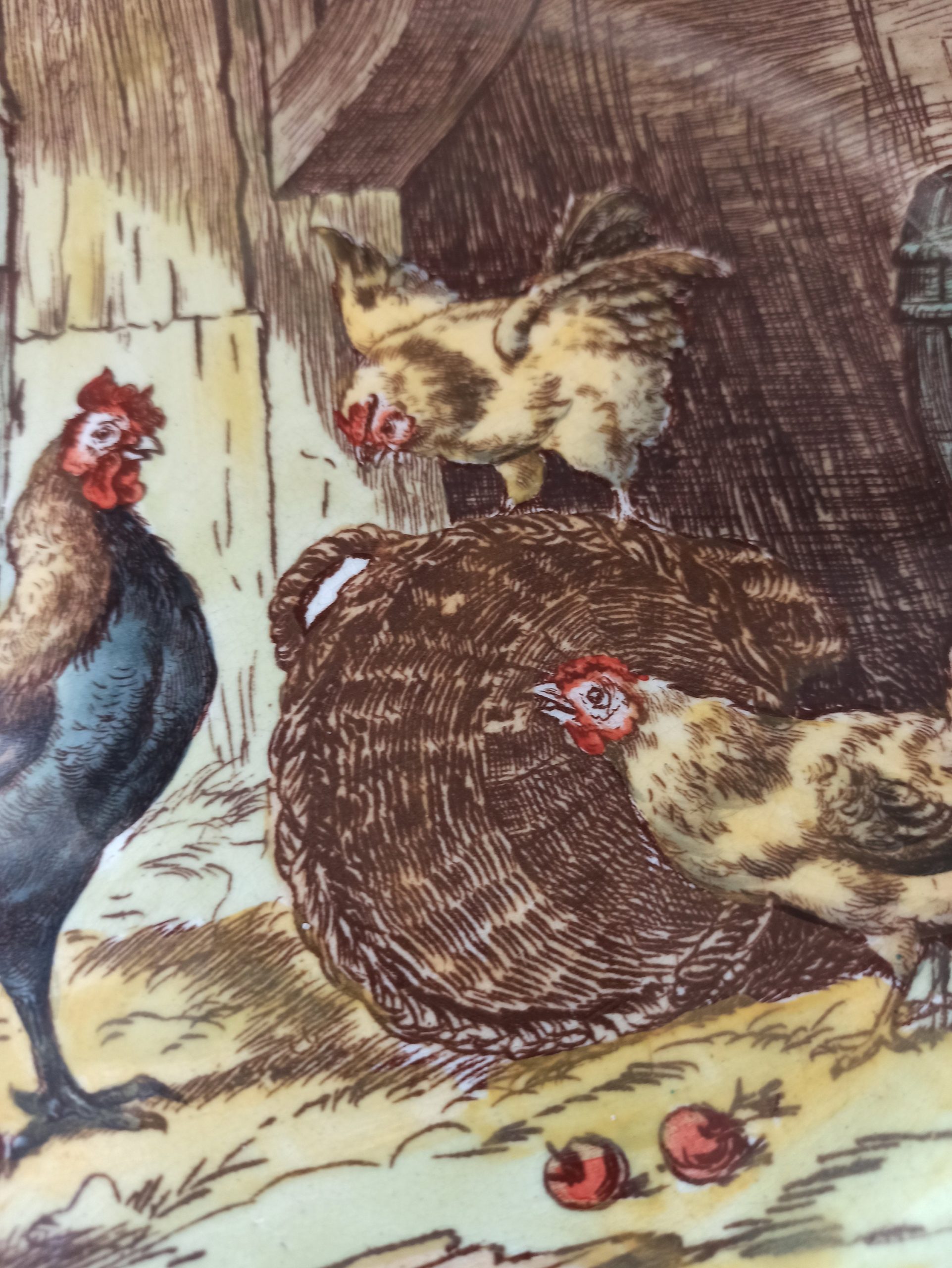 Vintage Chicken Decorative Cabinet Plate. Cauldon, England. - Image 4