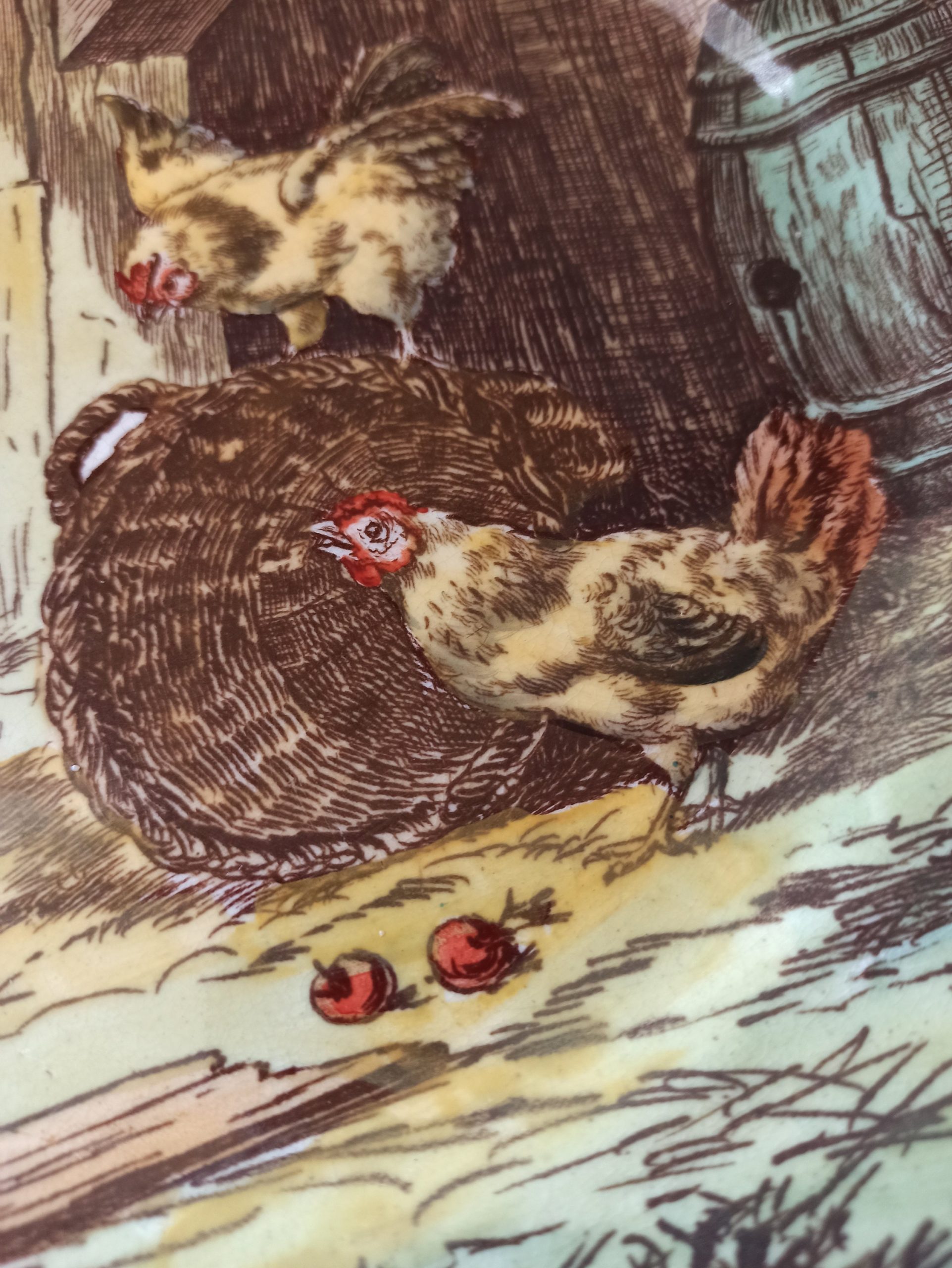 Vintage Chicken Decorative Cabinet Plate. Cauldon, England. - Image 5