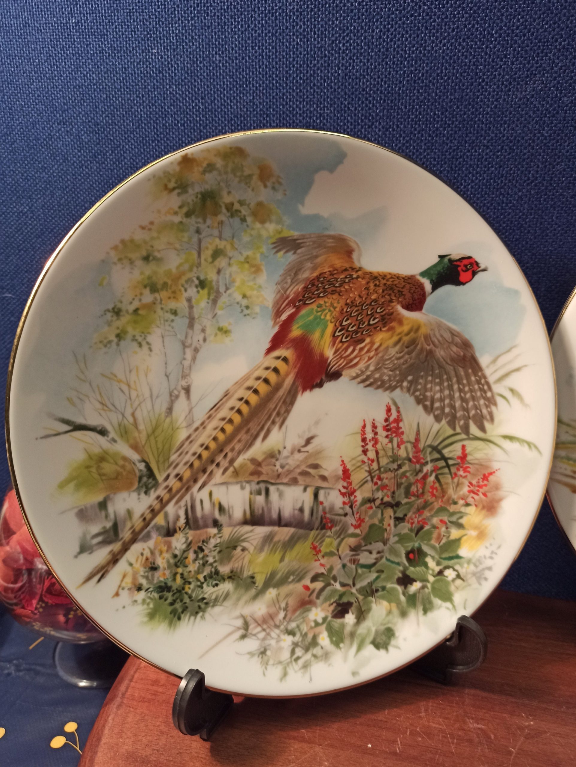 A Pair Royal Grafton Decorative Bird Plates. From A Collection of 4. - Image 3