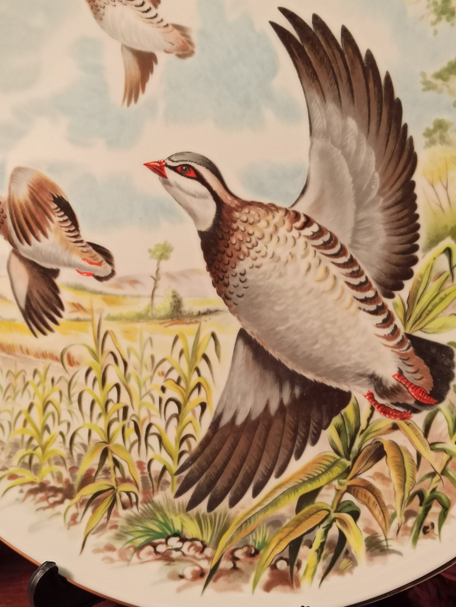 A Pair Royal Grafton Decorative Bird Plates. From A Collection of 4. - Image 6