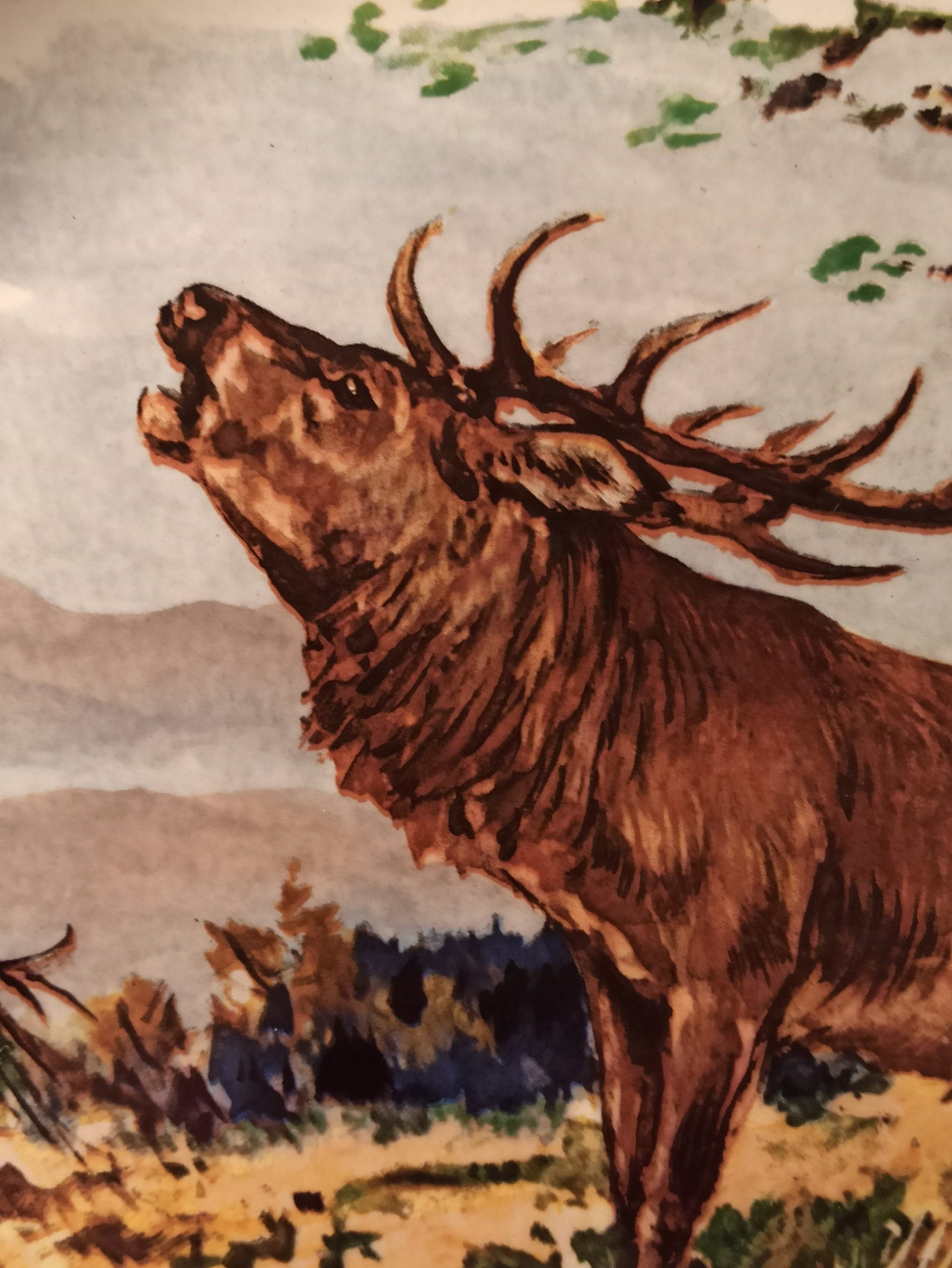 Vintage Oval Decorative Deer Plate. - Image 4