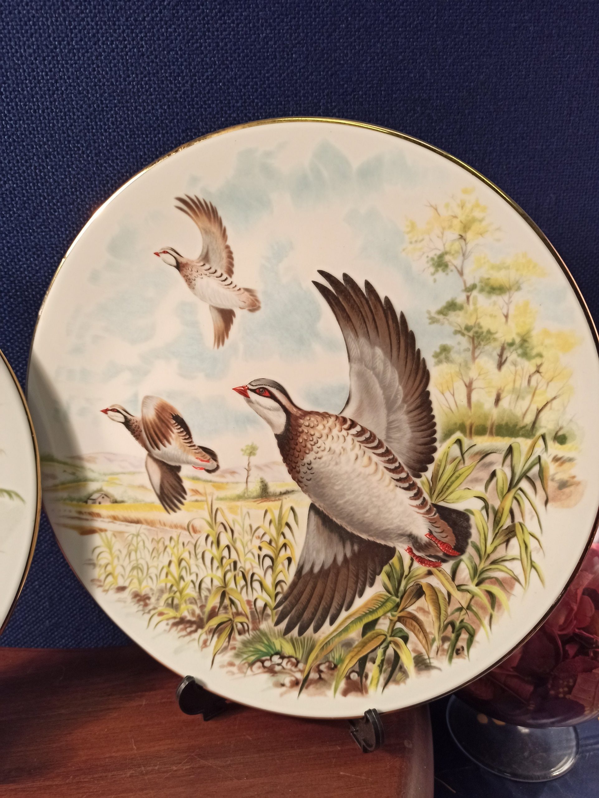 A Pair Royal Grafton Decorative Bird Plates. From A Collection of 4. - Image 4
