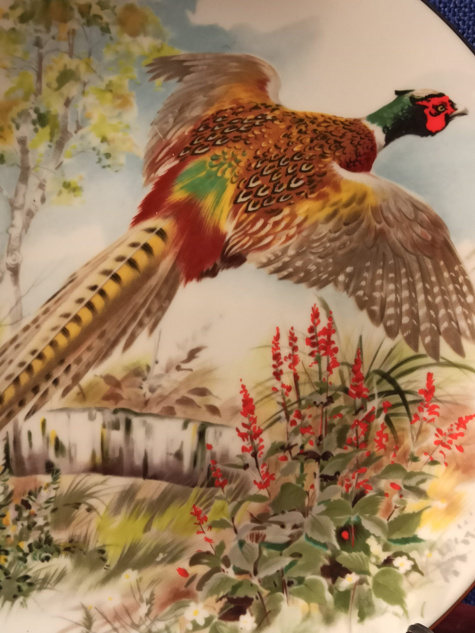A Pair Royal Grafton Decorative Bird Plates. From A Collection of 4. - Image 5