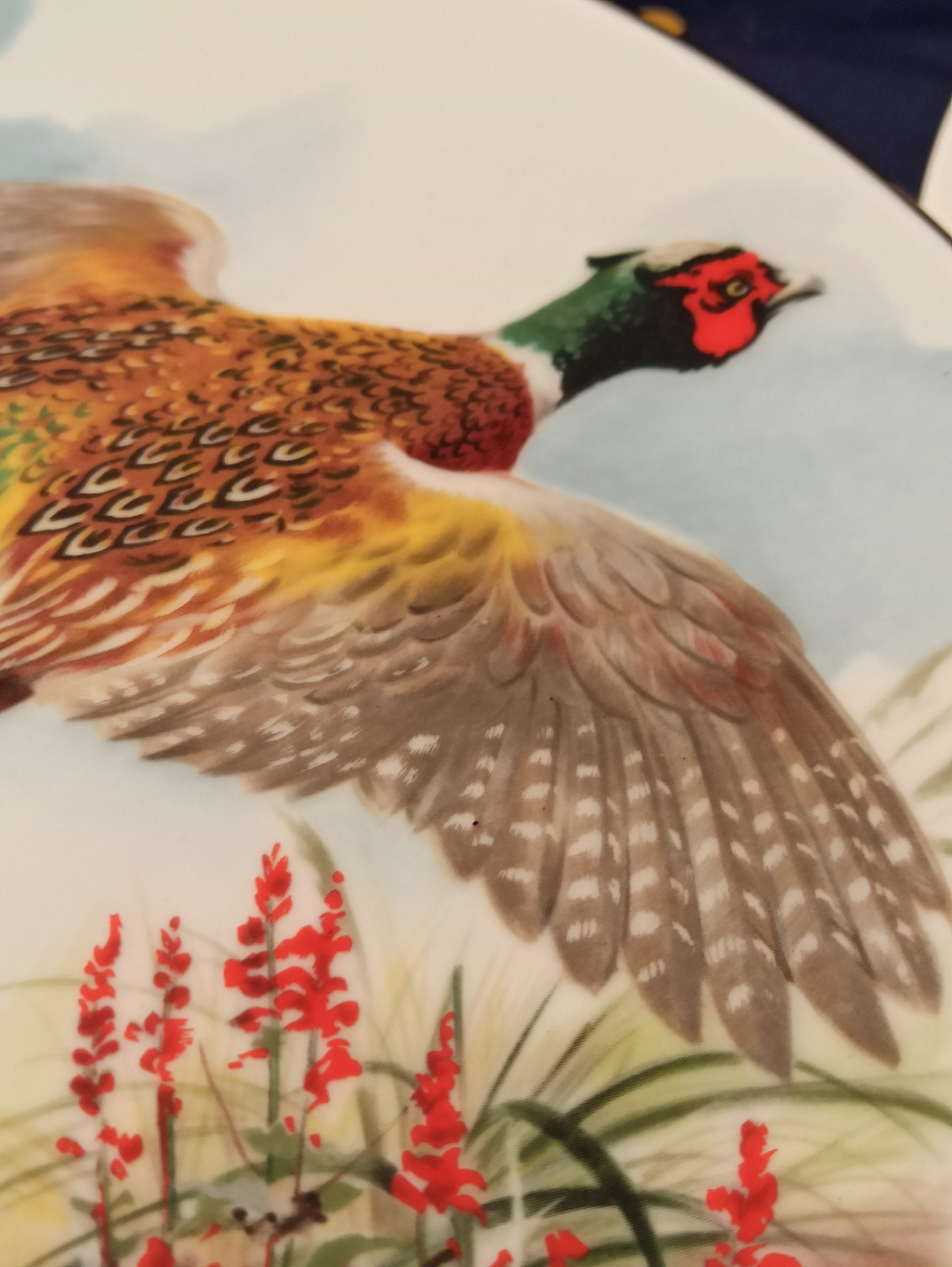 A Pair Royal Grafton Decorative Bird Plates. From A Collection of 4. - Image 9