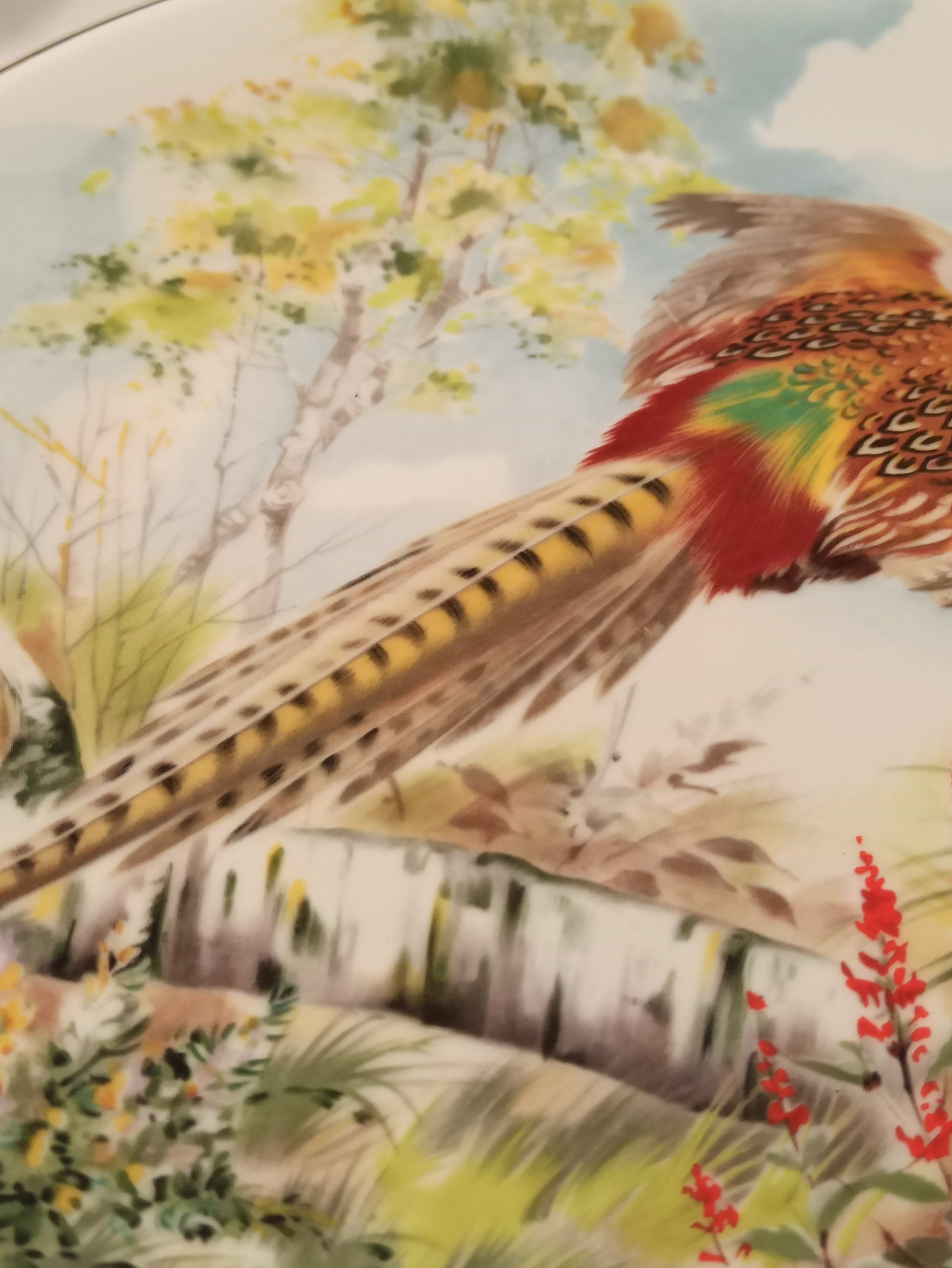 A Pair Royal Grafton Decorative Bird Plates. From A Collection of 4. - Image 10