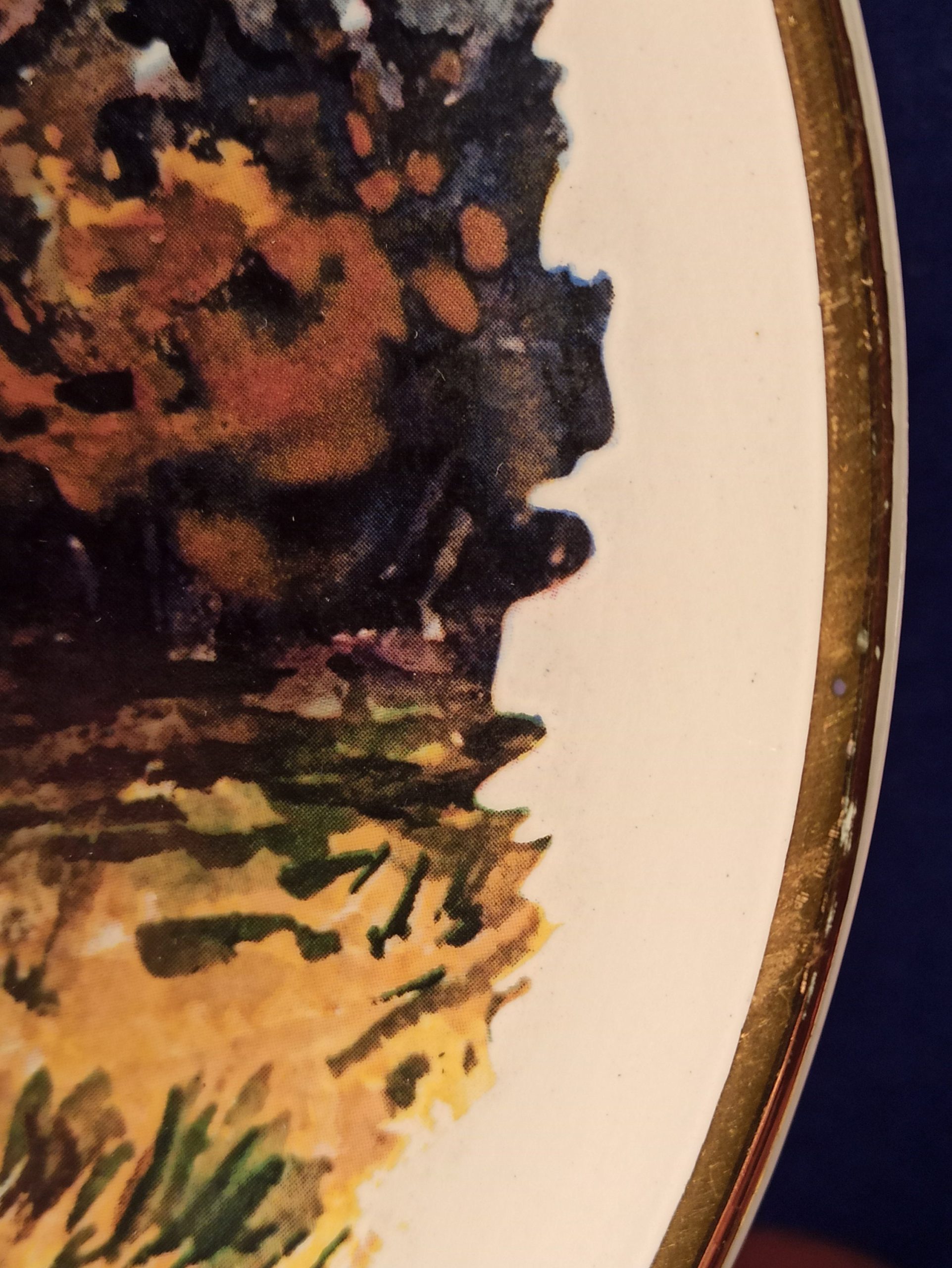 Vintage Oval Decorative Deer Plate. - Image 6