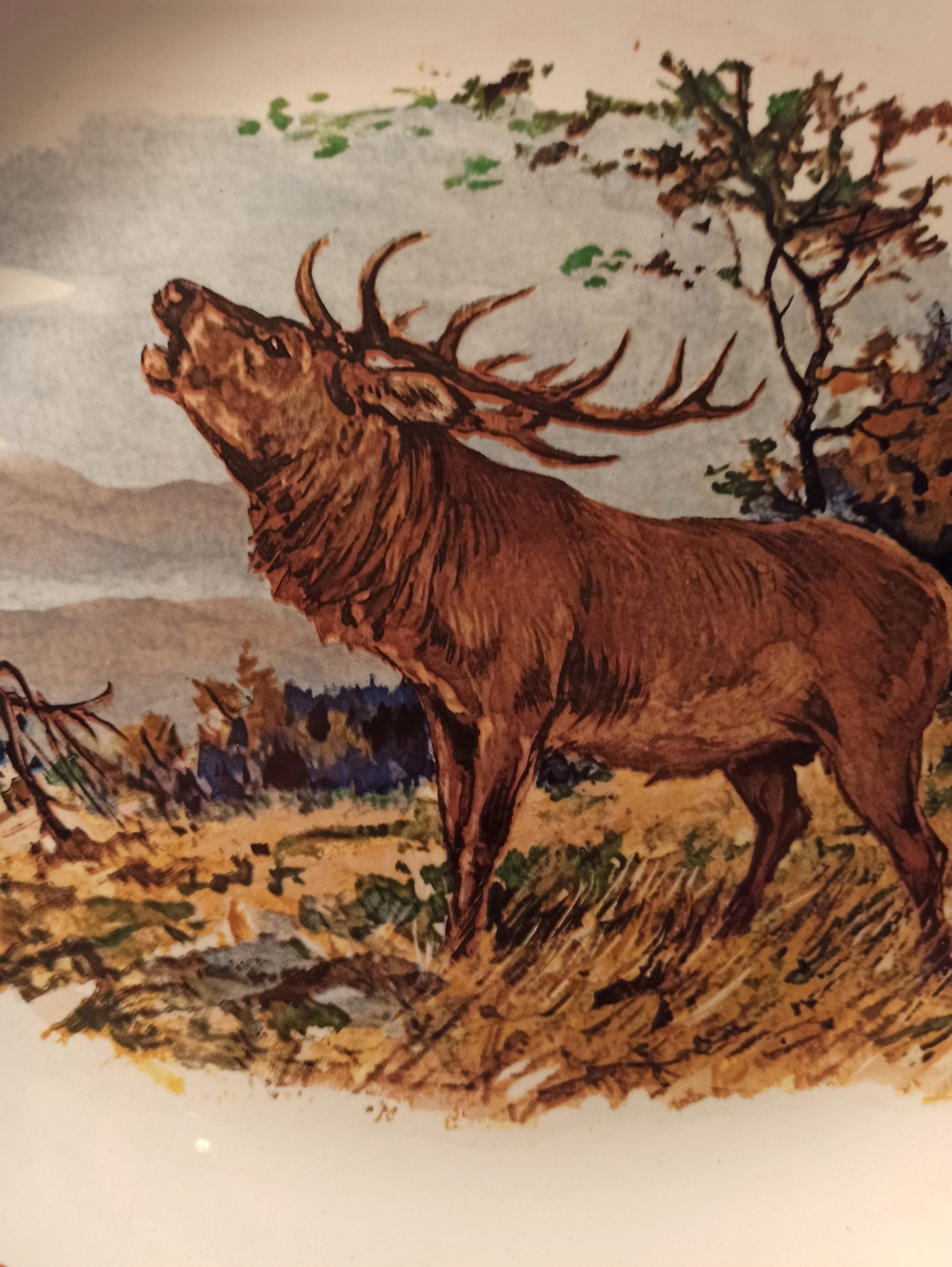 Vintage Oval Decorative Deer Plate. - Image 3