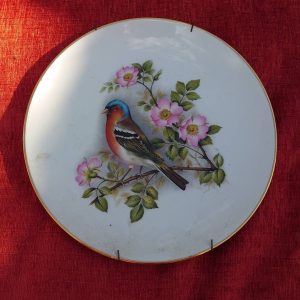 Royal Worcester Bird (probably Chaffinch) on a Rose Wall Plate - Porcelain 10cm across