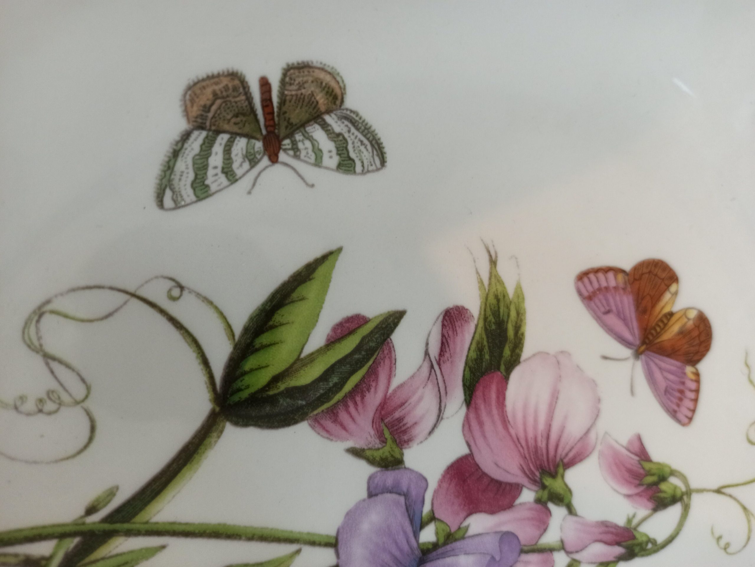 Vintage Portmerion Fruit Bowl. Botanic Gardens. Excellent Condtion. - Image 5