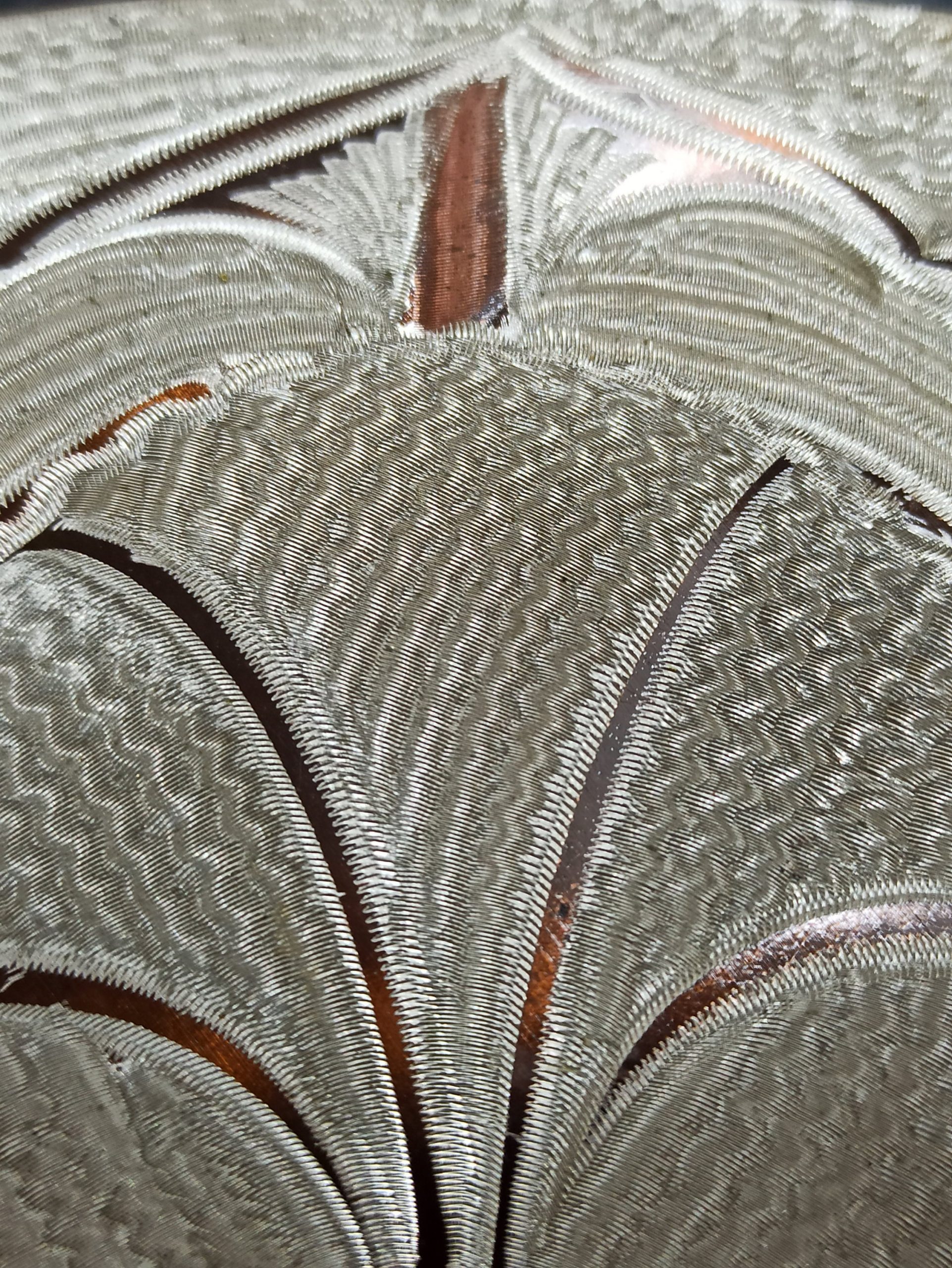 Vintage Laser Engraved Copper Wall Plate. Very Decorative. A One Off Piece. - Image 7
