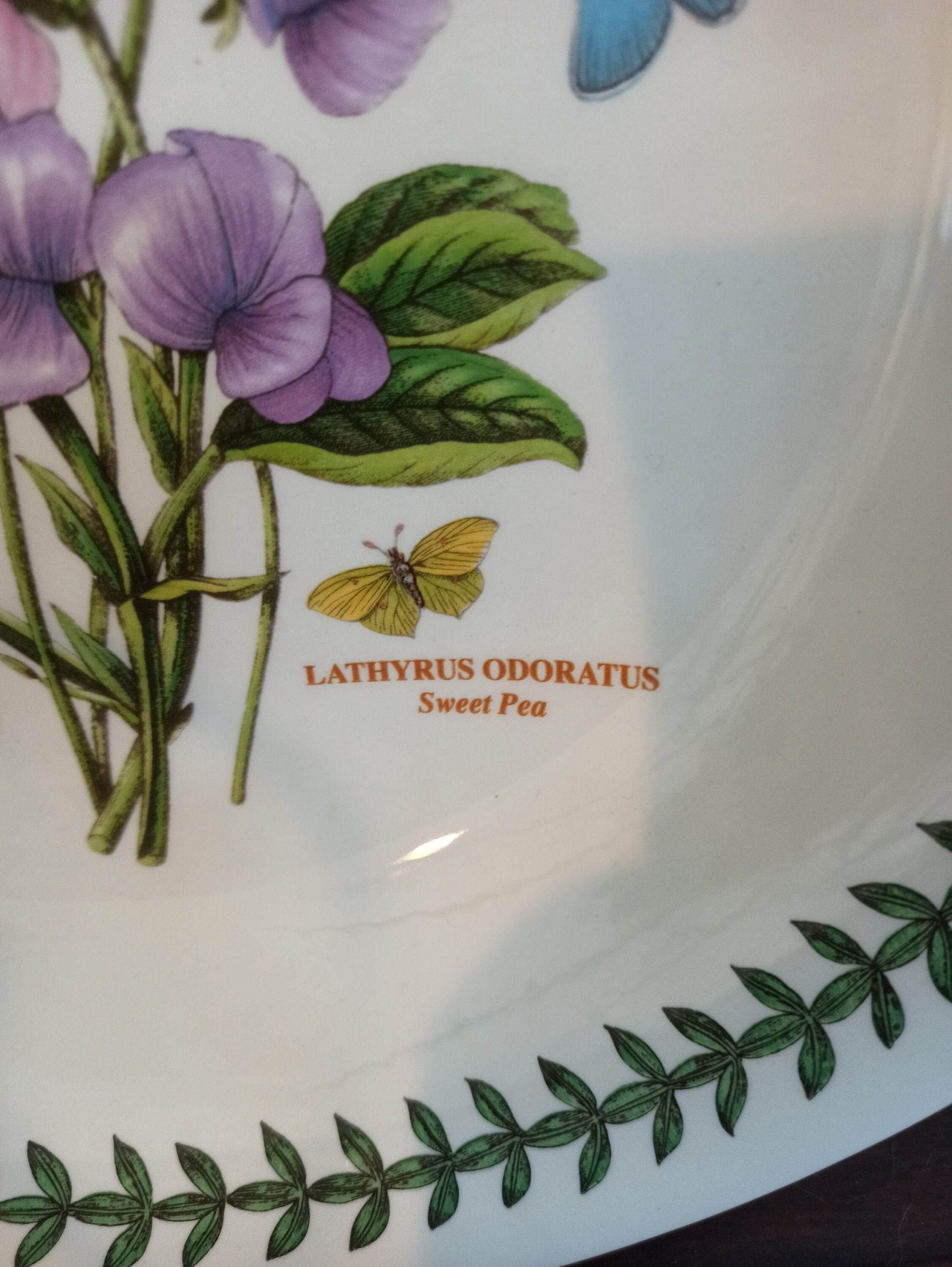 Vintage Portmerion Fruit Bowl. Botanic Gardens. Excellent Condtion. - Image 3