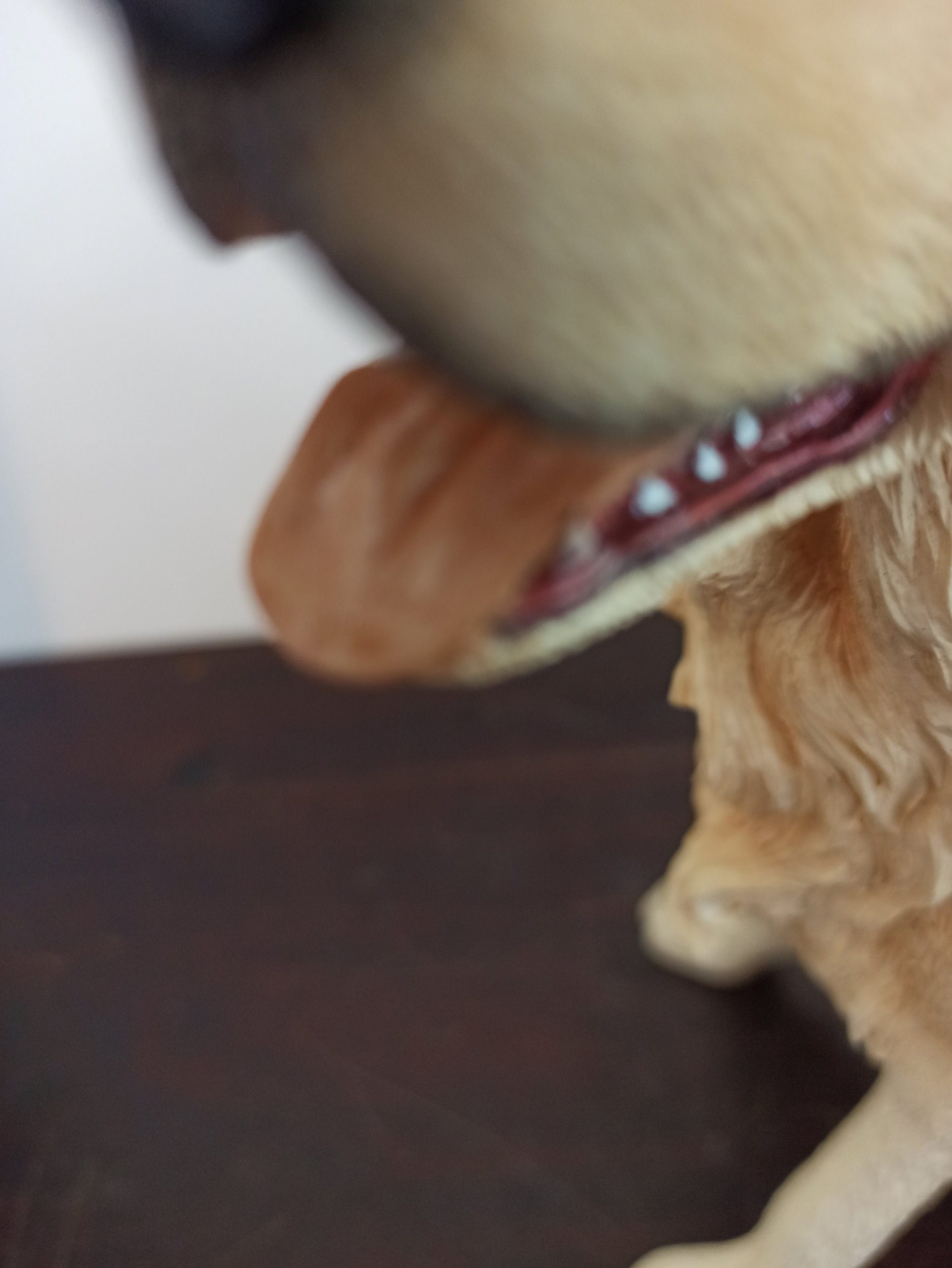 Royal Doulton Golden Retriever. Excellent Condition. Boxed. - Image 6