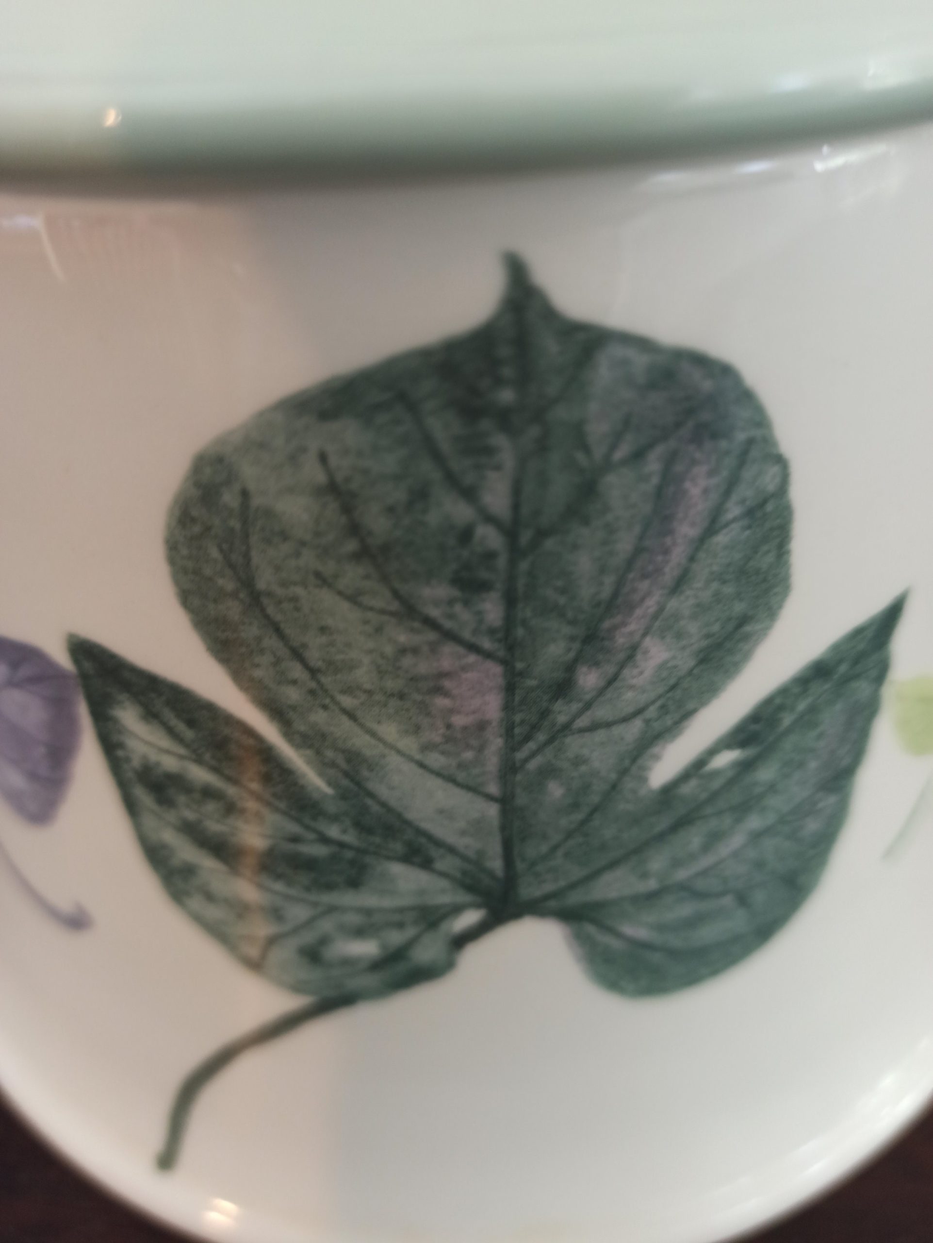 Vintage Portmeirion Teapot. Excellent Condition. Designed by Susan Wiliams-Ellis. The Seasons Collection. - Image 5