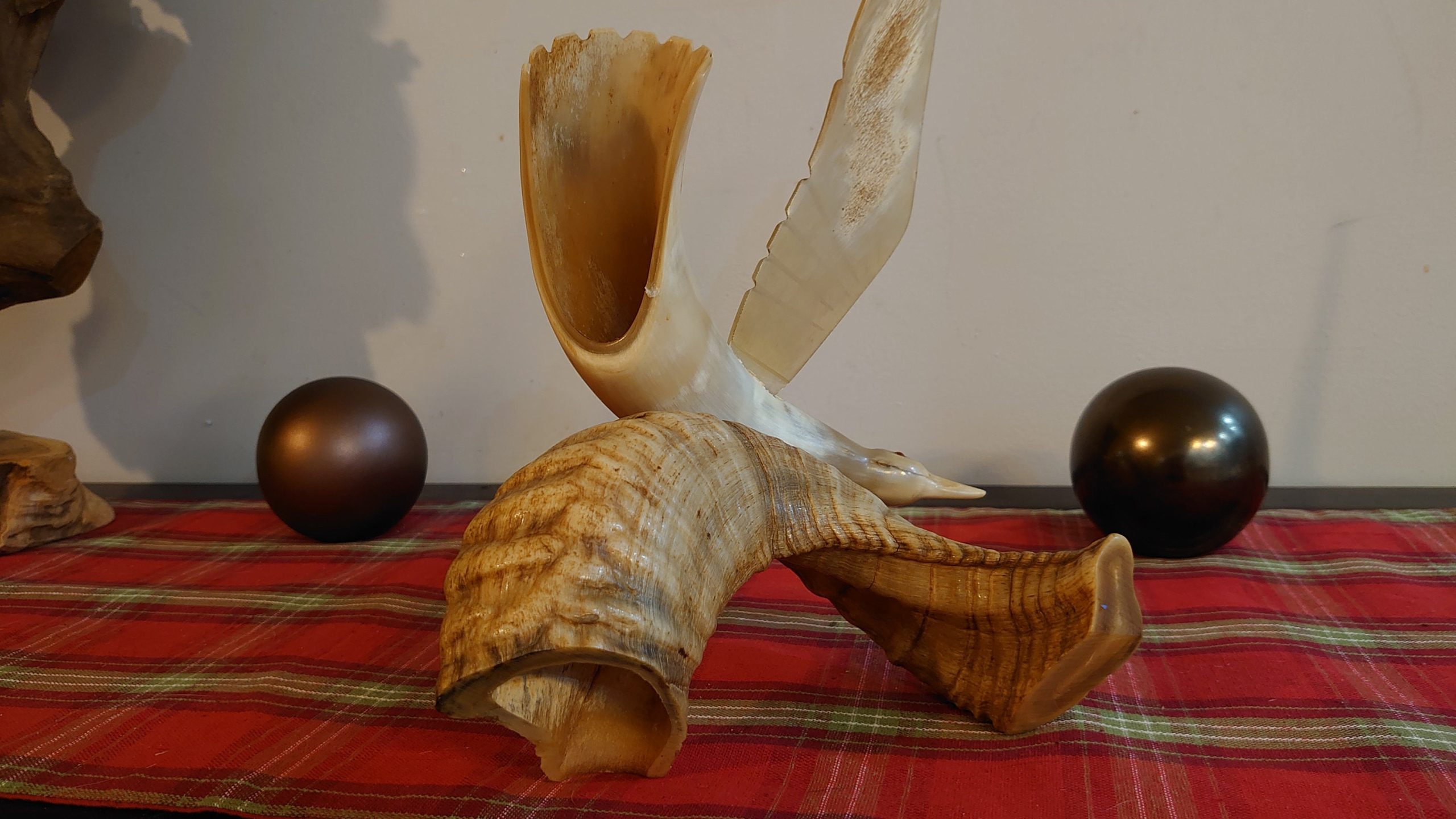 Unique Seagull in Flight Sculpture Carved from Animal Horn - eyecatching gift! - 37cm wide - Image 9