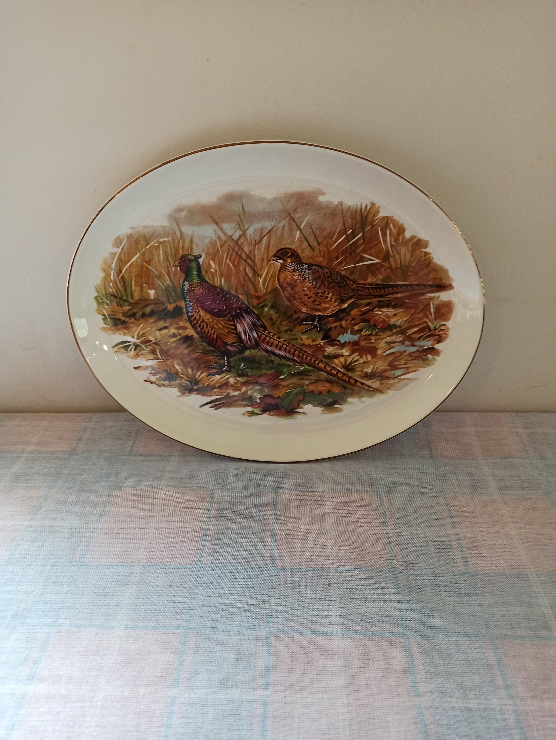 Vintage Royal Falcon, Ironstone, Decorative Oval Plate. Pattern 2 - 83. Very Good Condition.