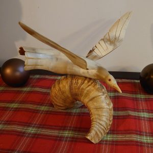 Unique Seagull in Flight Sculpture Carved from Animal Horn - eyecatching gift! - 37cm wide