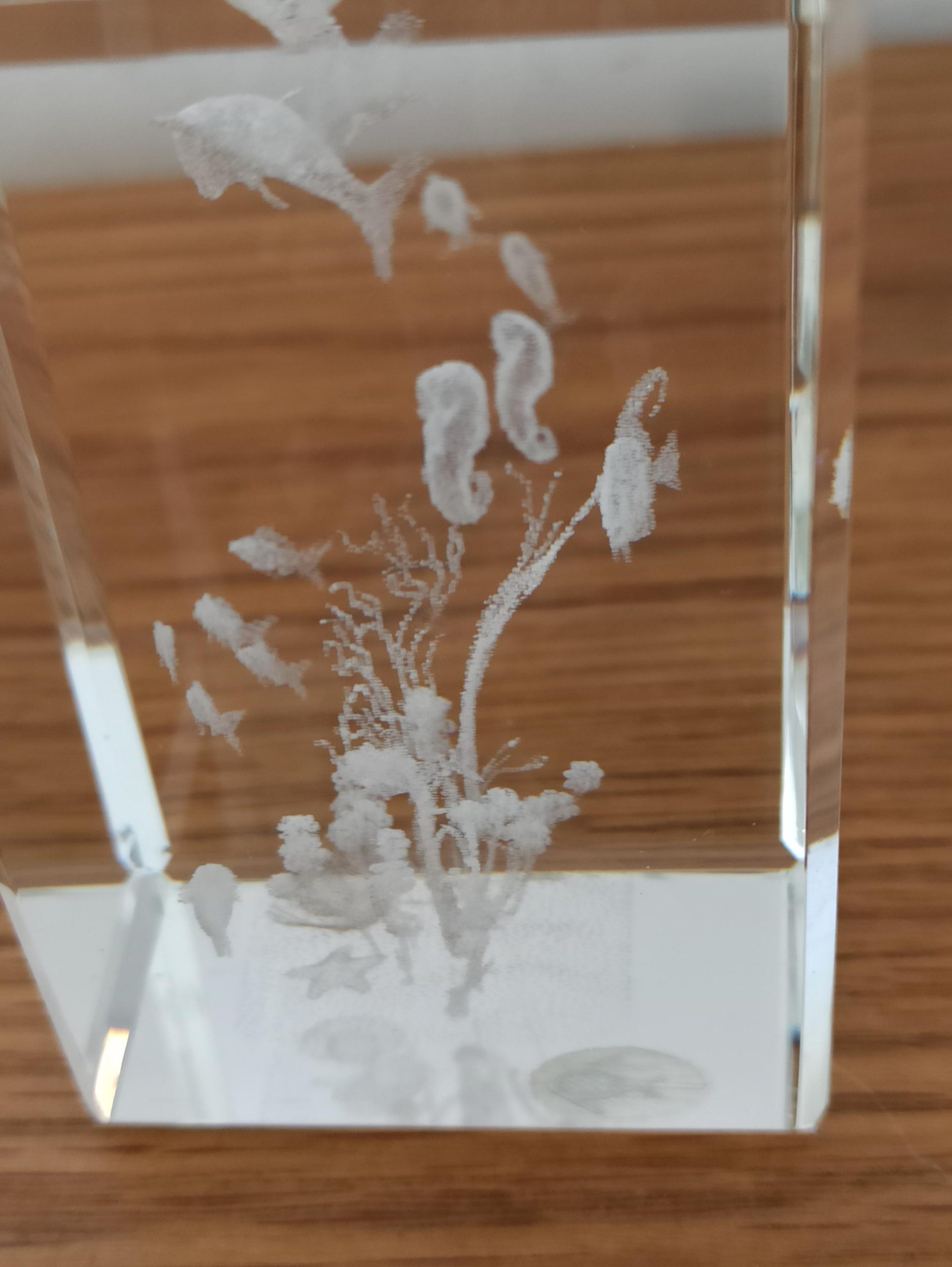 Crystal Impressions Paperweight Glasses. Very Good Condition. Ocean Scene and Bird Scene. - Image 6