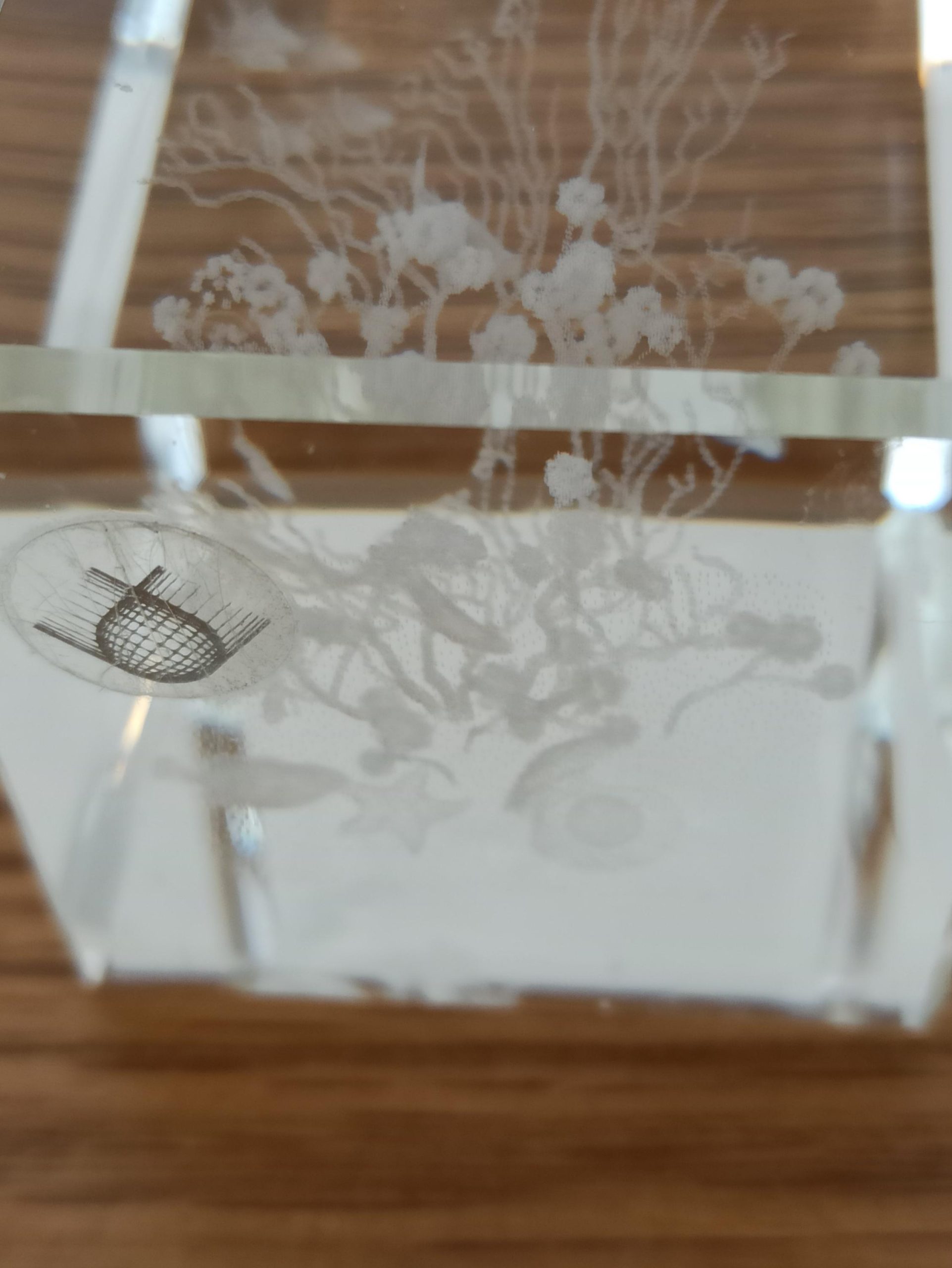 Crystal Impressions Paperweight Glasses. Very Good Condition. Ocean Scene and Bird Scene. - Image 8