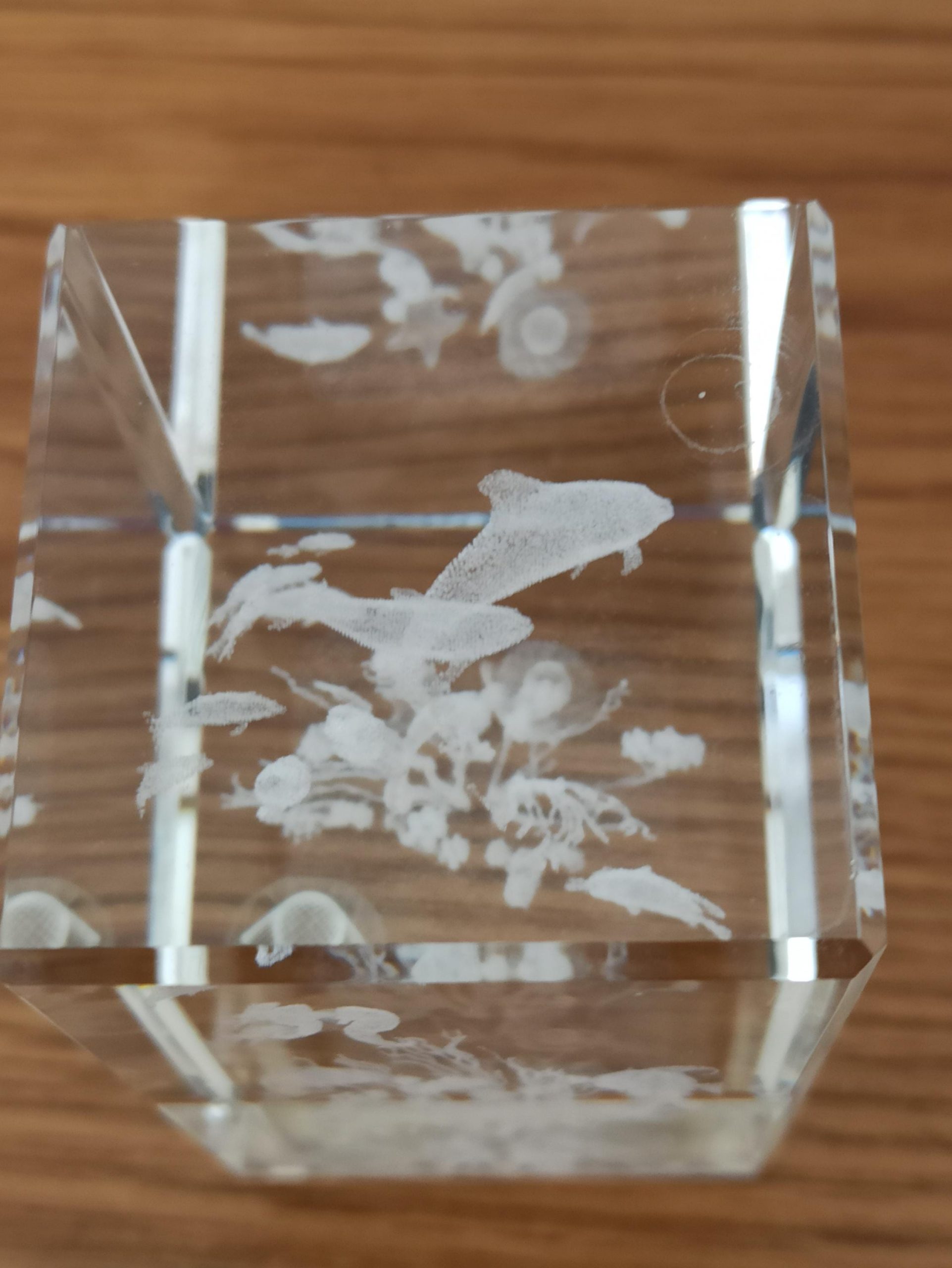 Crystal Impressions Paperweight Glasses. Very Good Condition. Ocean Scene and Bird Scene. - Image 9