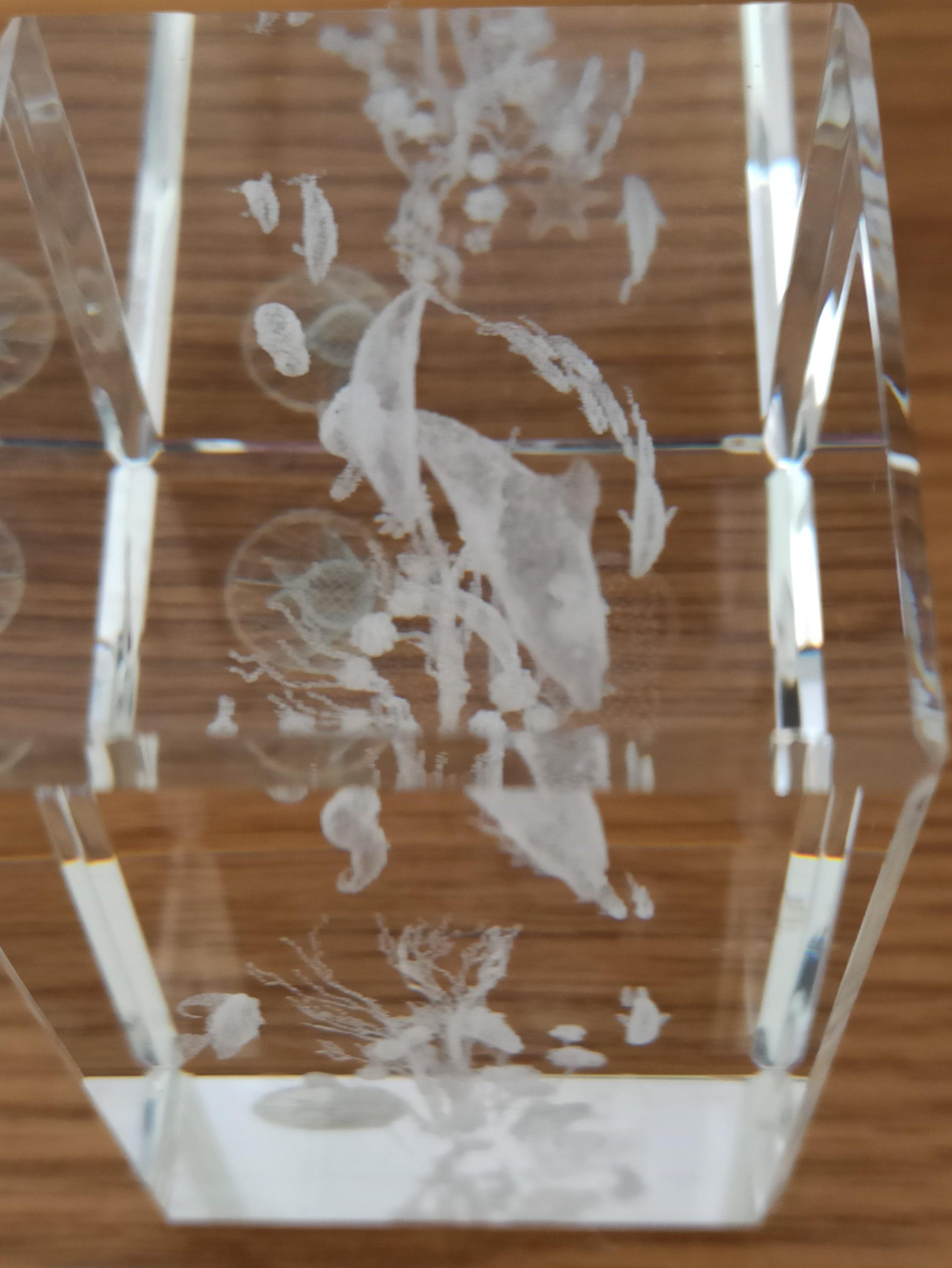 Crystal Impressions Paperweight Glasses. Very Good Condition. Ocean Scene and Bird Scene. - Image 4