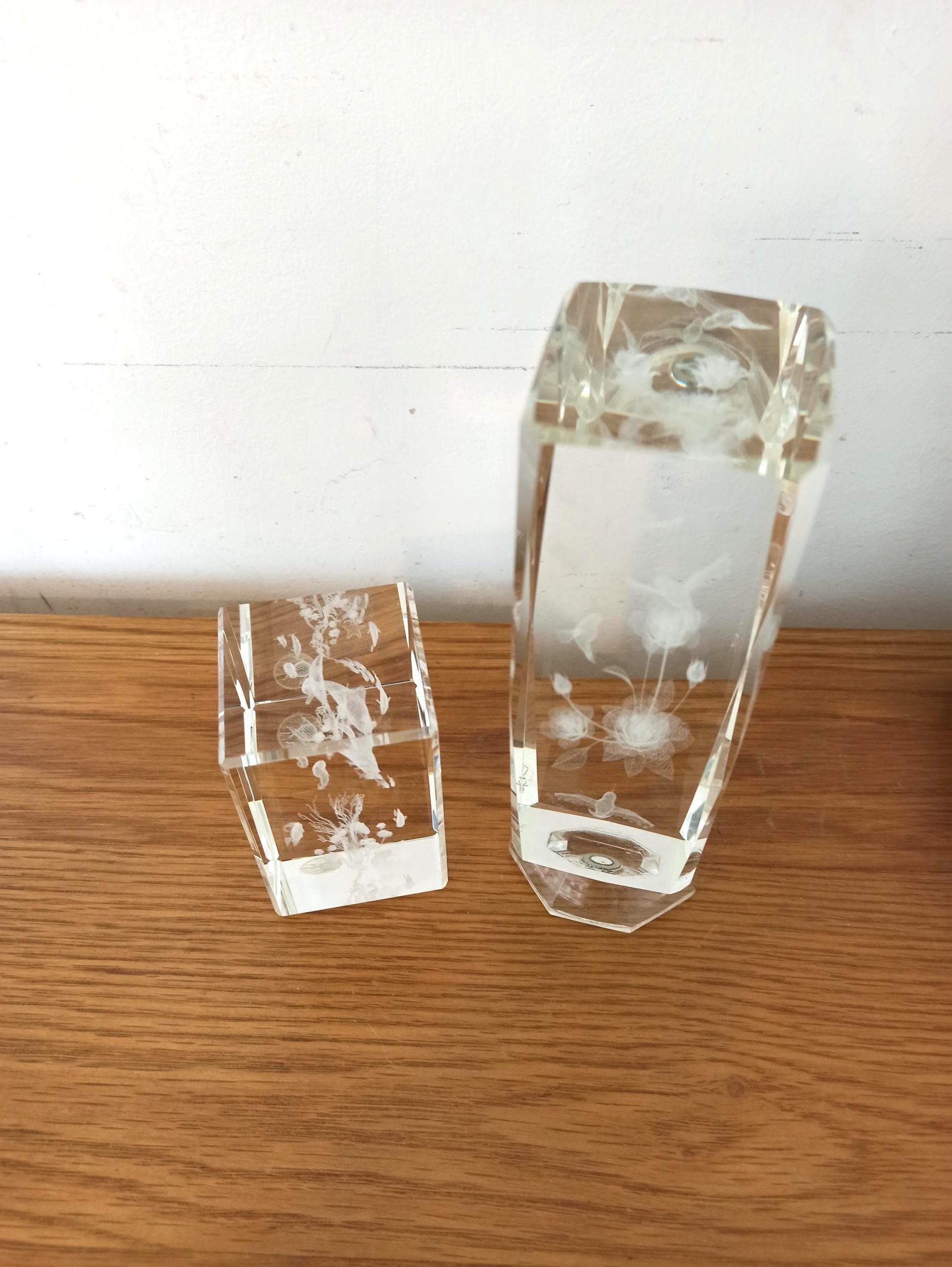 Crystal Impressions Paperweight Glasses. Very Good Condition. Ocean Scene and Bird Scene.