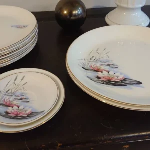 Alfred Meakin's Water Lily Dinner Set. Good Condition.