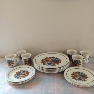 Retro Dinner Set. Ridgway Ironstone, England. Pattern 'Takoma'. Very Good Condition. c.1970s.