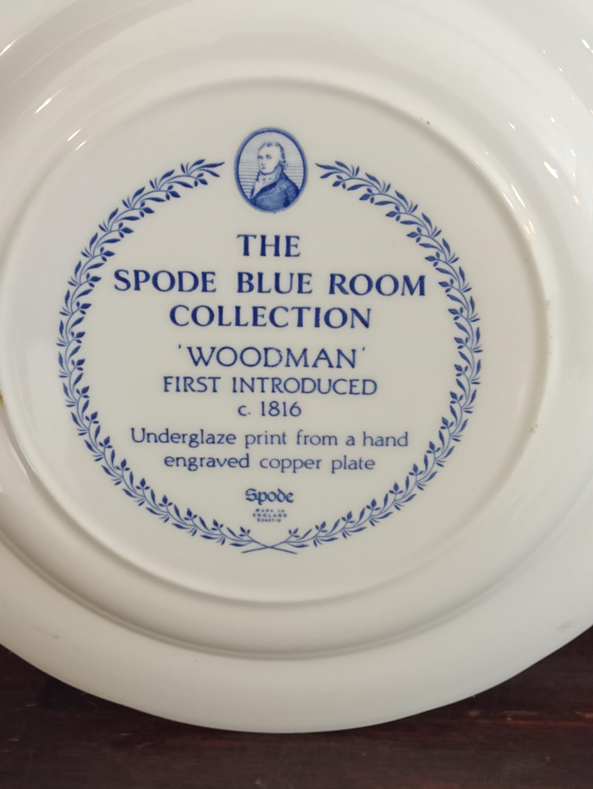 Spode Collectable Cabinet Plates. Blue And White. The Spode 'Blue Room Collection'. Very Good Condition. - Image 11